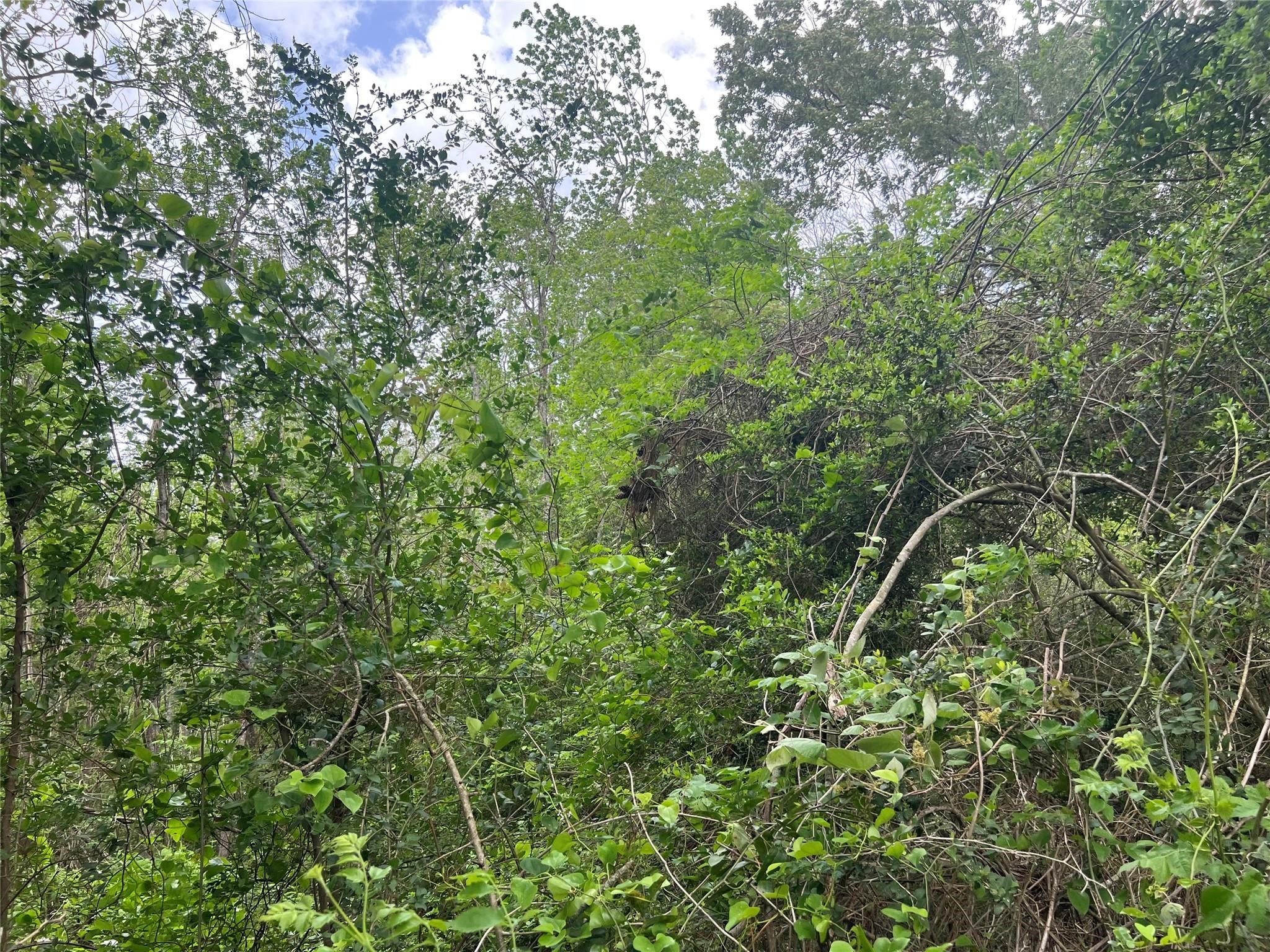 000 Cemetery Road Property Photo 3