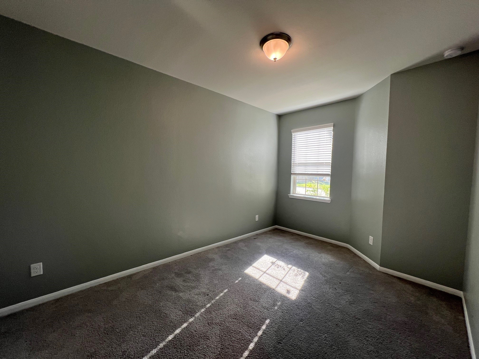 1131 Bluebonnet Trail Property Photo 11