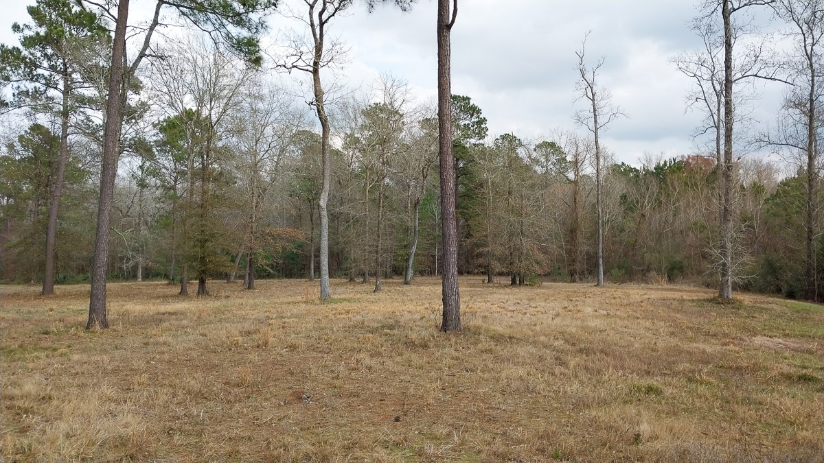 Tbd Noah Court Property Photo 3