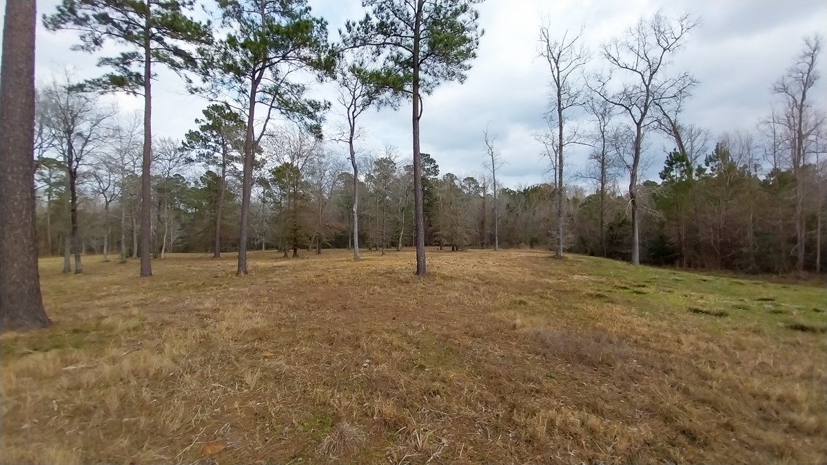 Tbd Noah Court Property Photo 4