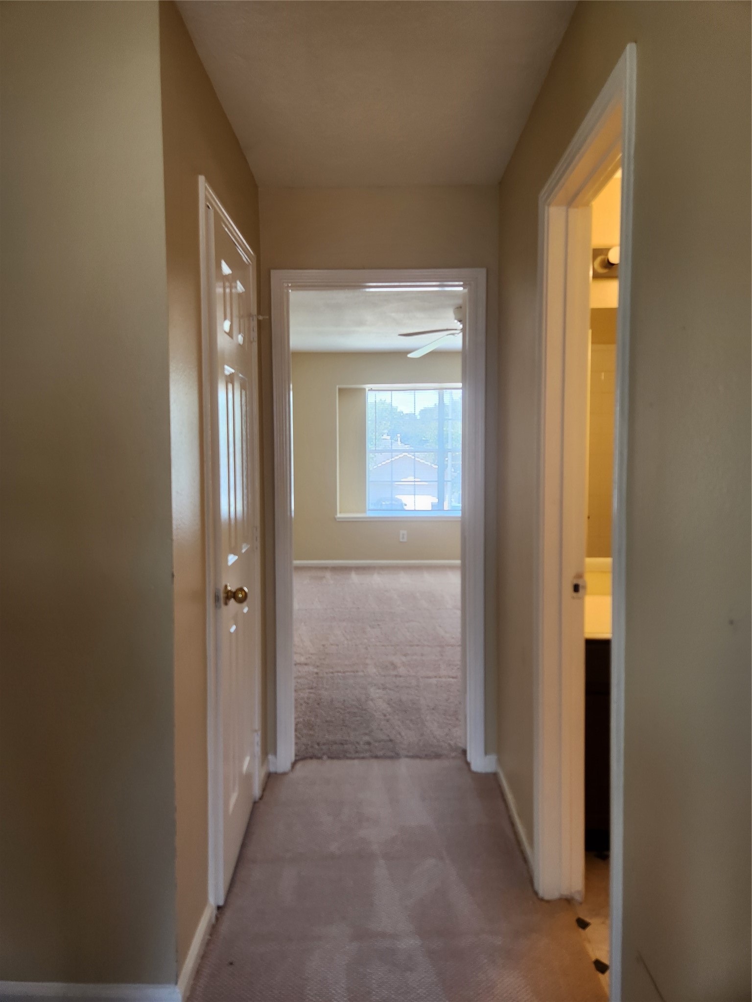 7631 Goudin Drive Property Photo 8