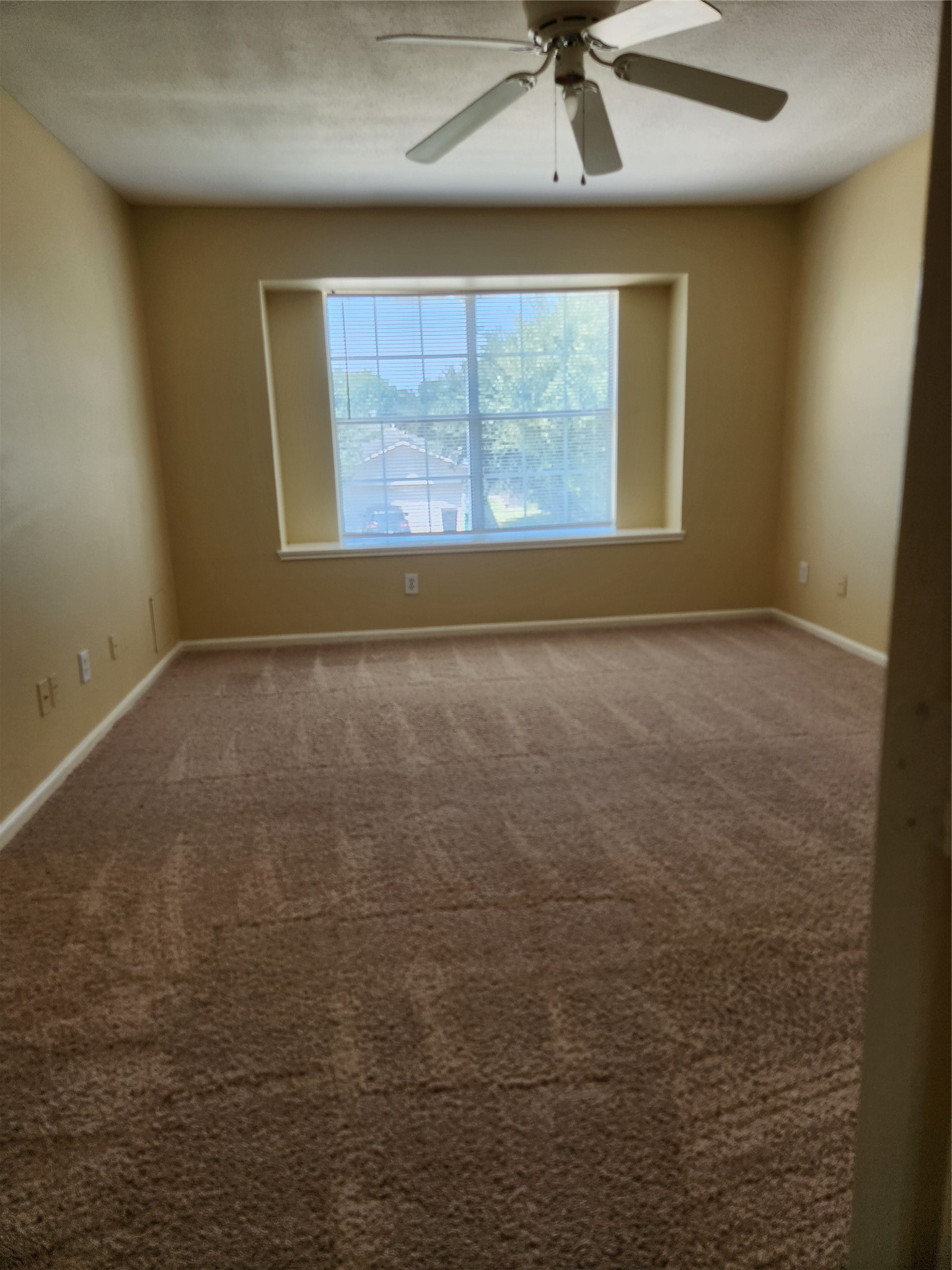 7631 Goudin Drive Property Photo 9