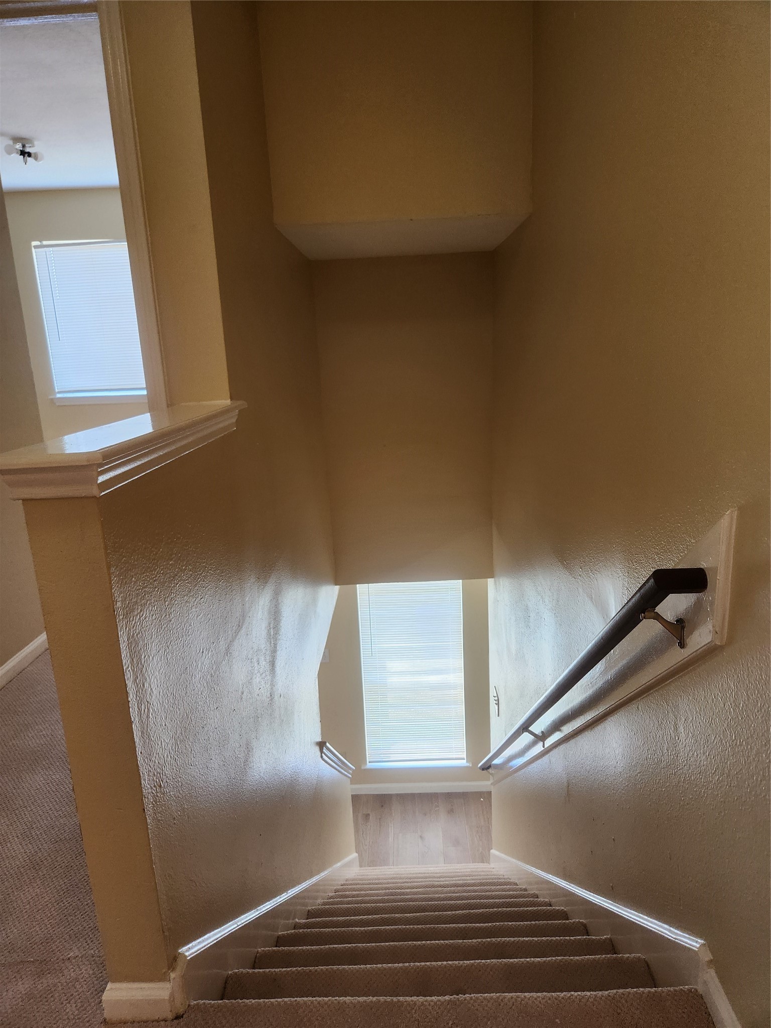 7631 Goudin Drive Property Photo 19