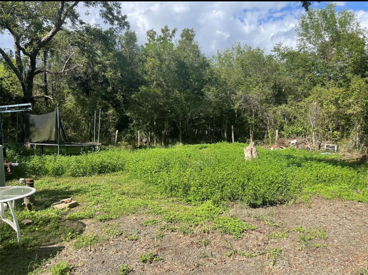 14127 Fm 2759 Road Property Photo 3