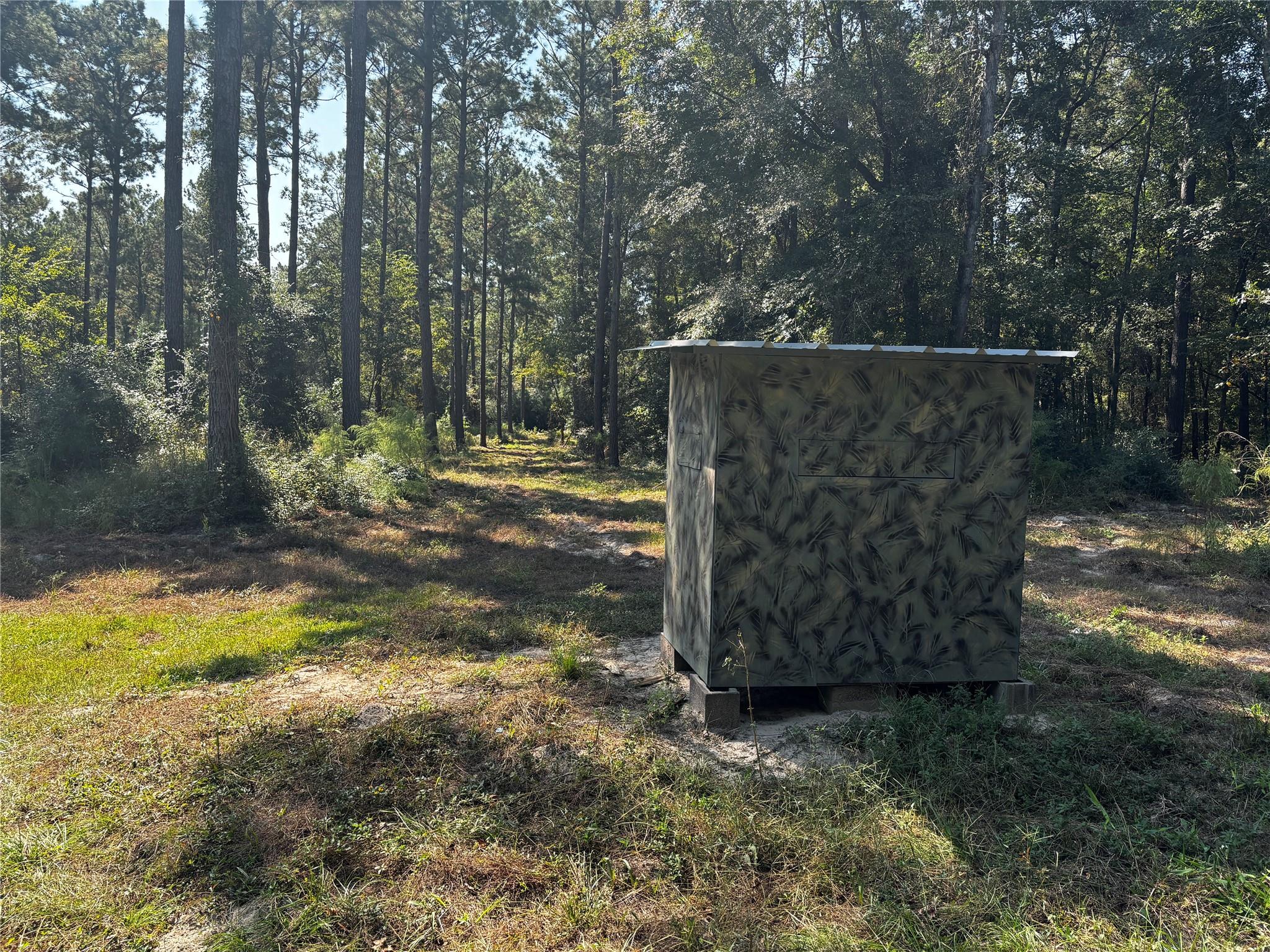 Tract 5 Trinity Lady Park Road Property Photo 5