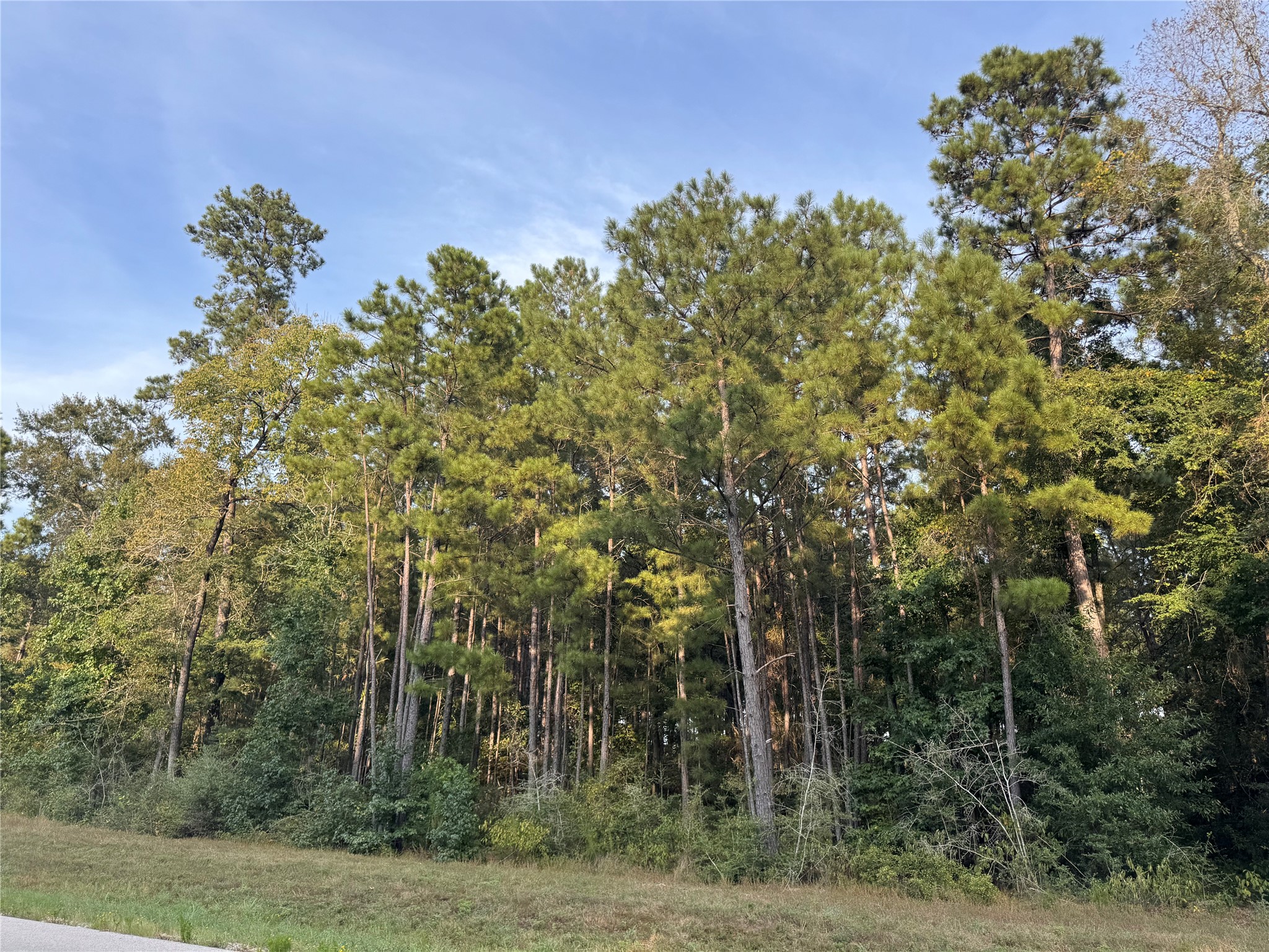 344 Exploration Road Property Photo 6