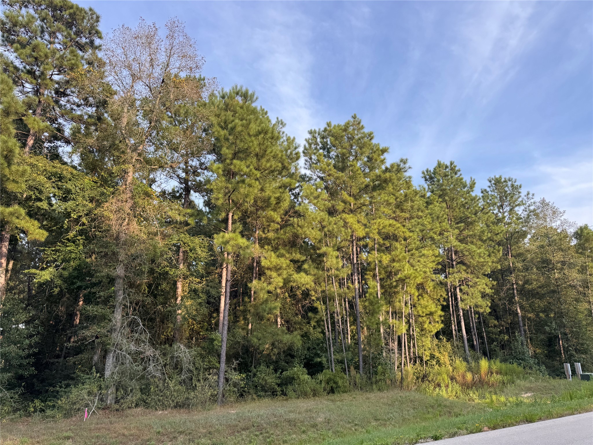 344 Exploration Road Property Photo 8