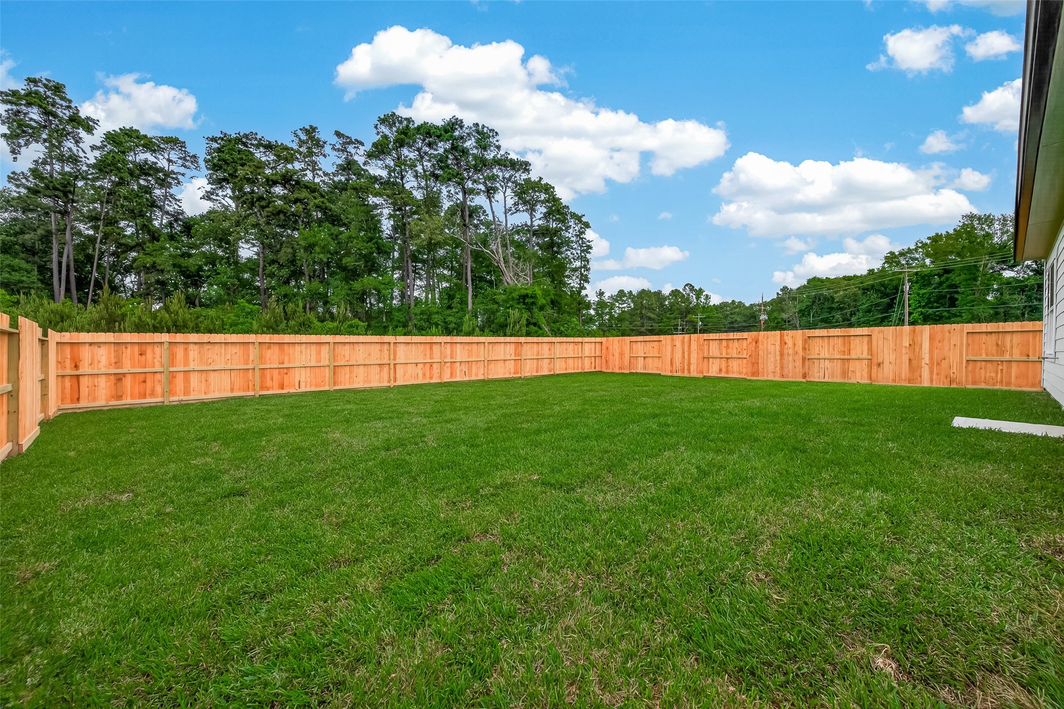 25569 Roy Rogers Road Property Photo 32