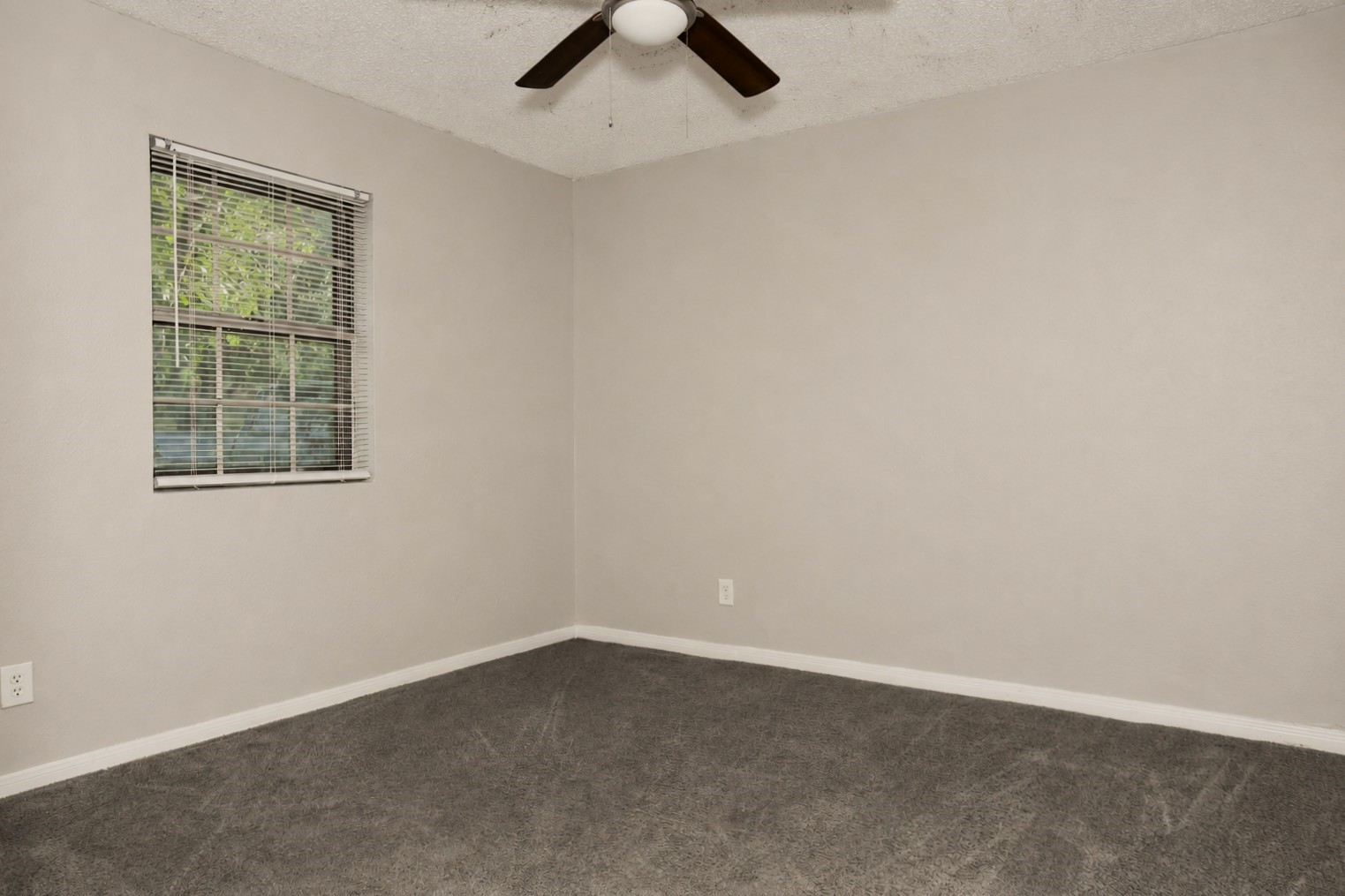 1117 County Road 515 Property Photo 7