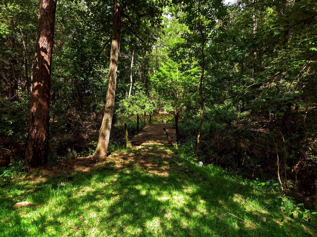 18839 Mink Lake Drive Property Photo 27