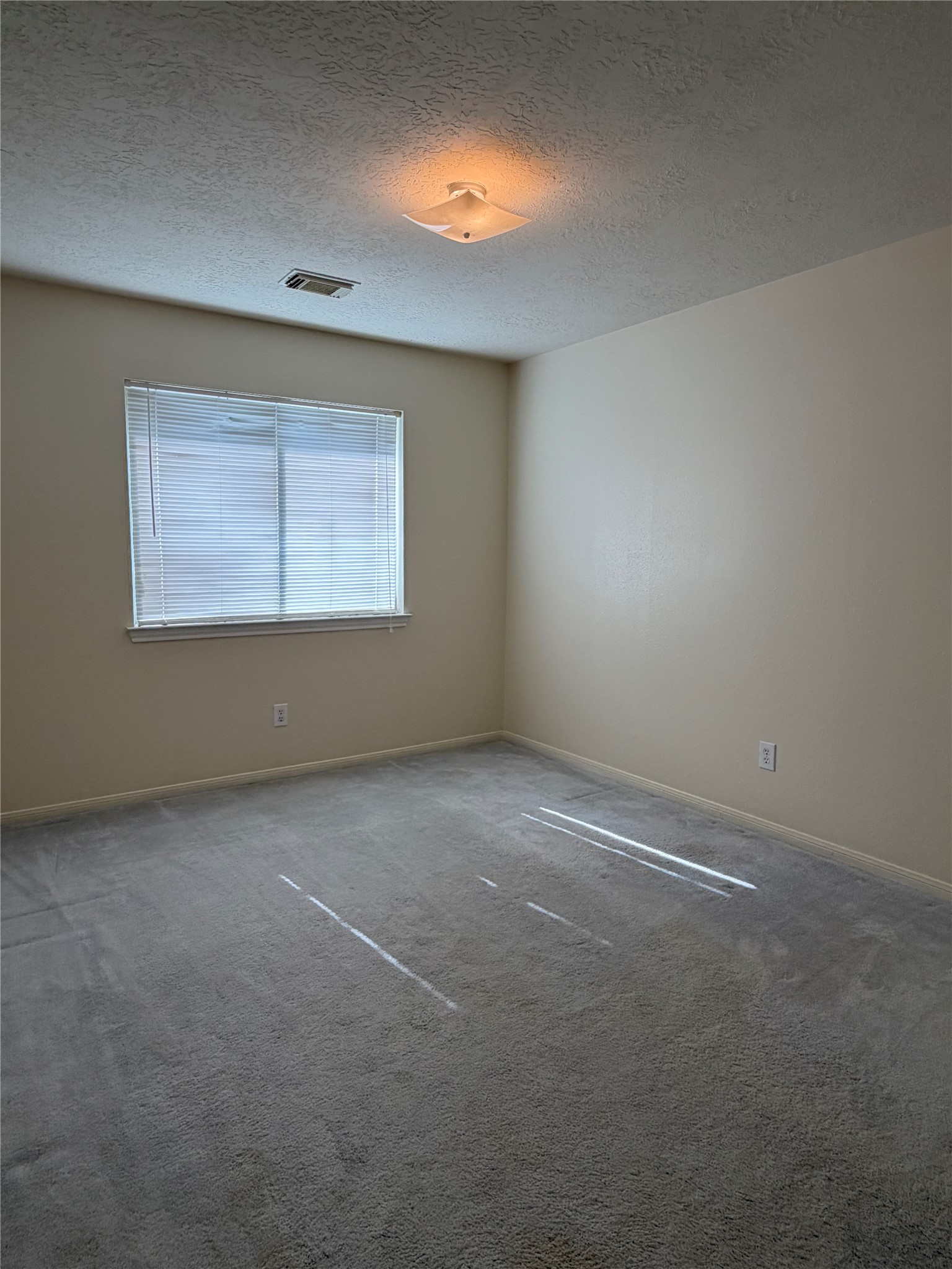 8922 Benning Drive Property Photo 6