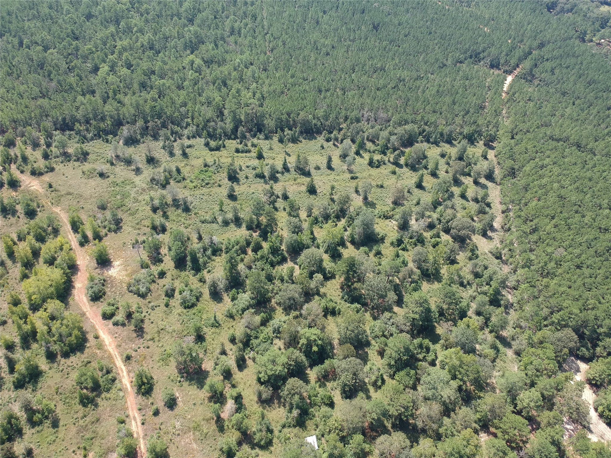 Tract 1 Private Rd 8385 Property Photo 4