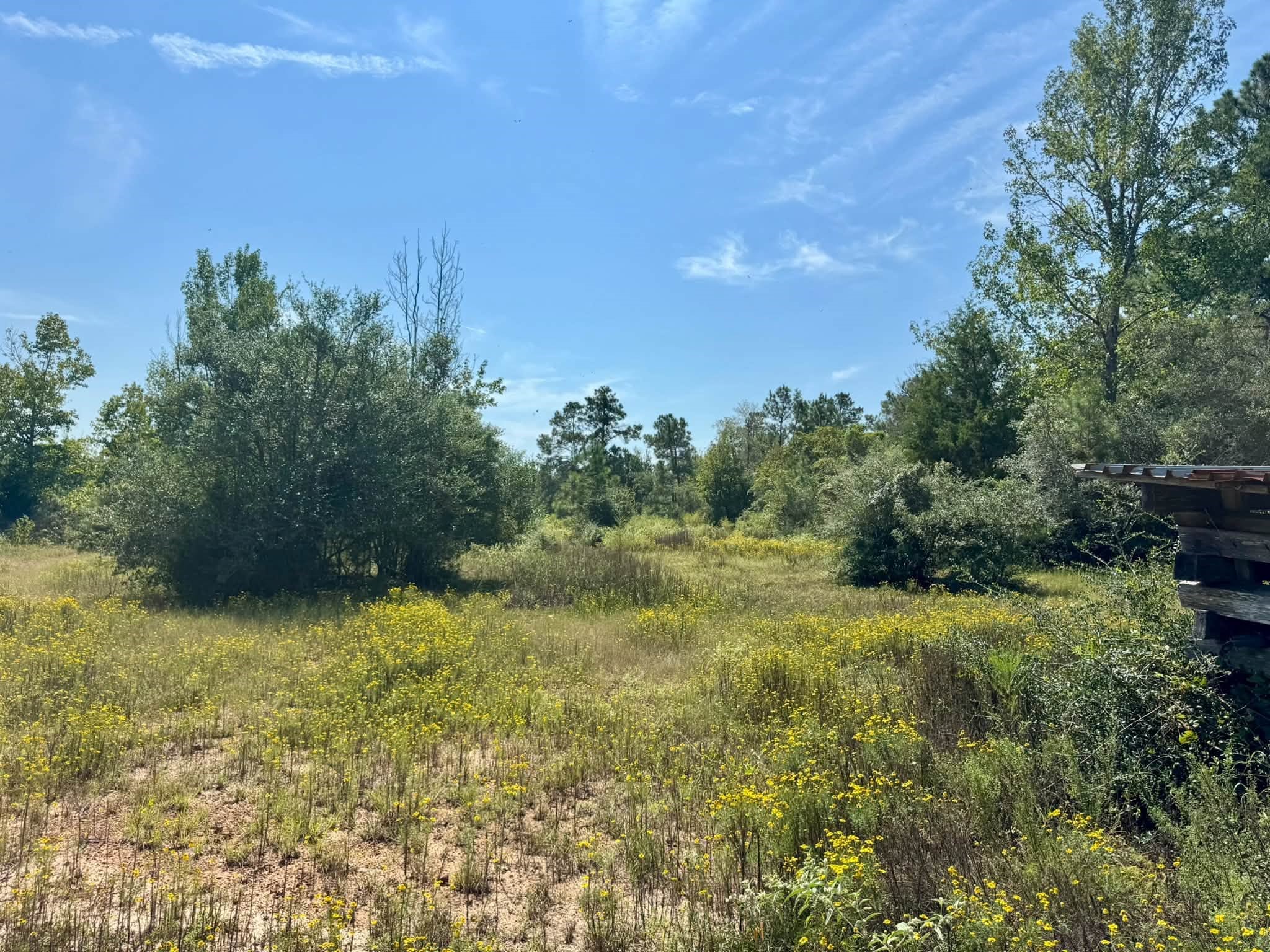 Tract 1 Private Rd 8385 Property Photo 8