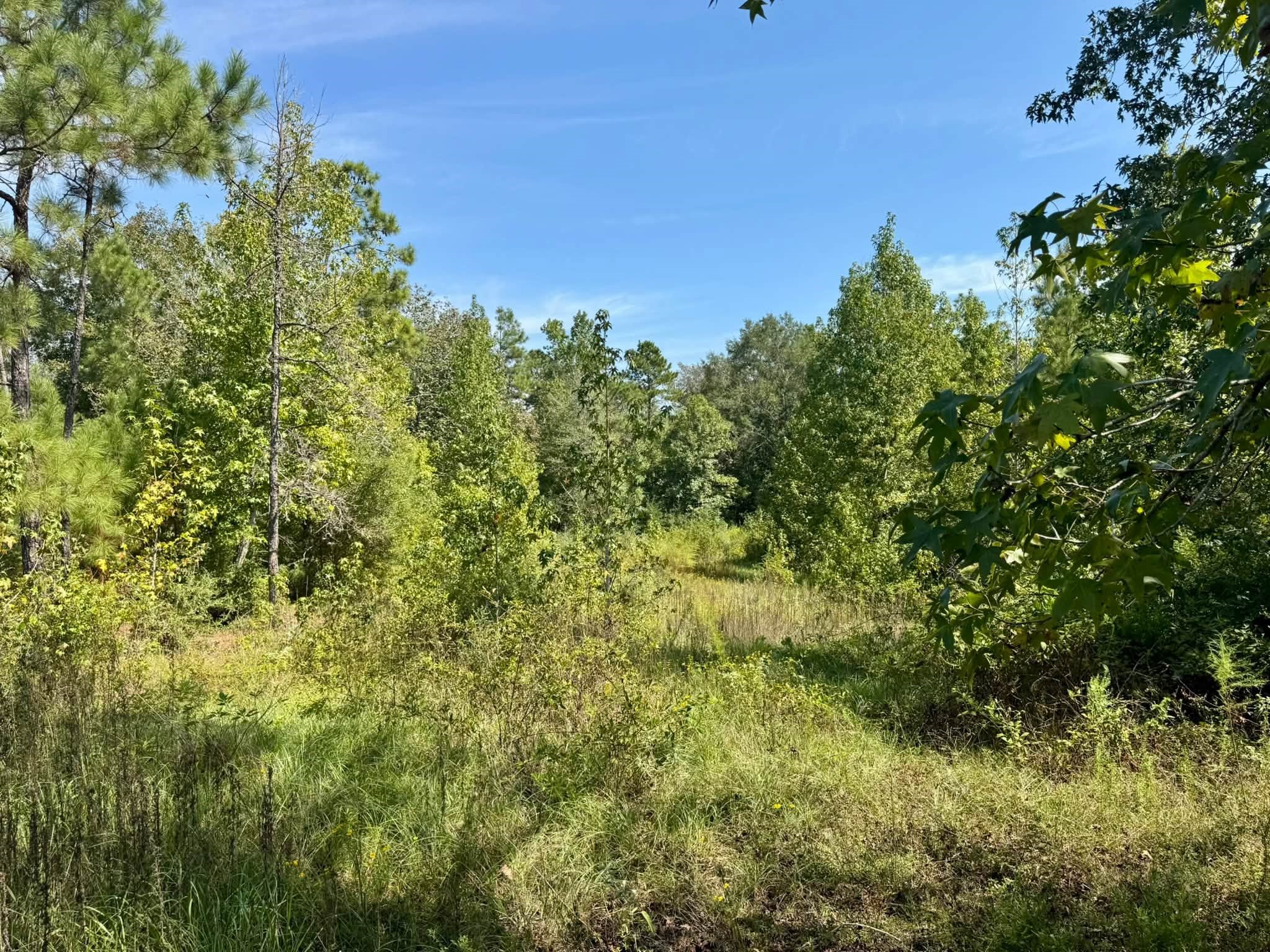 Tract 1 Private Rd 8385 Property Photo 12