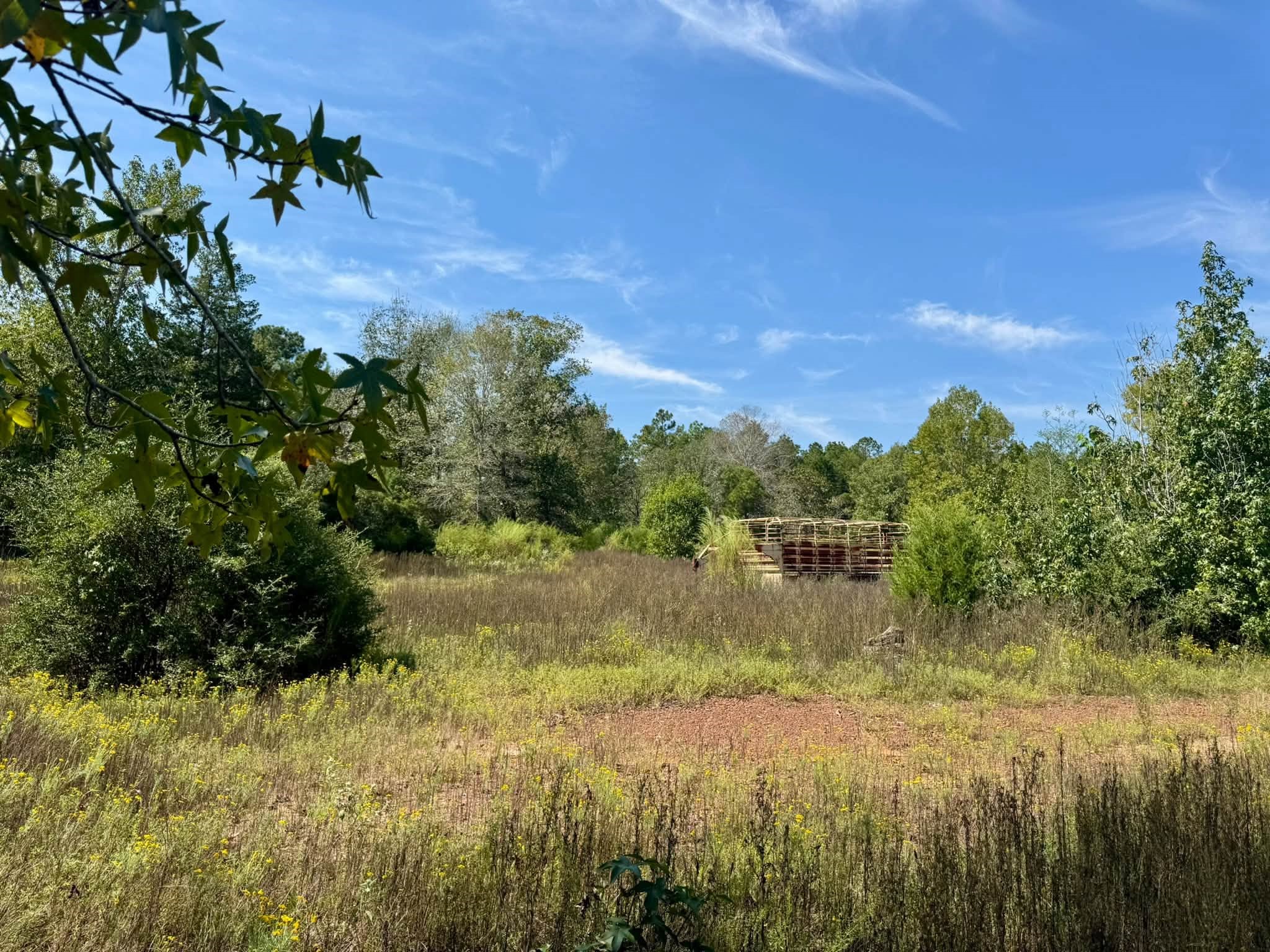 Tract 1 Private Rd 8385 Property Photo 13