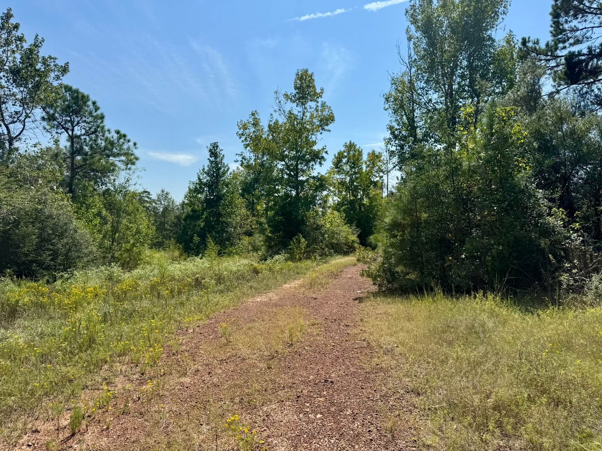 Tract 1 Private Rd 8385 Property Photo 14