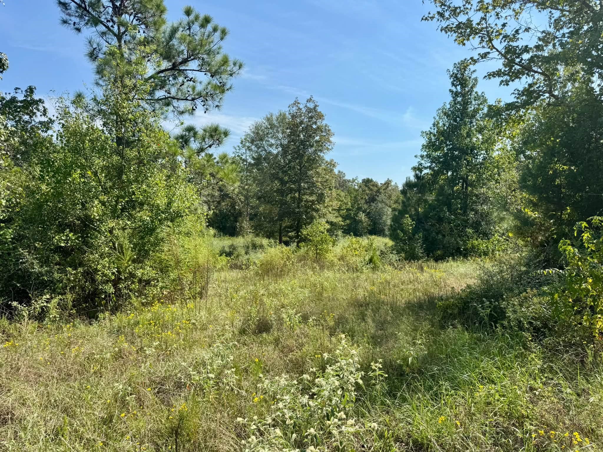 Tract 1 Private Rd 8385 Property Photo 16