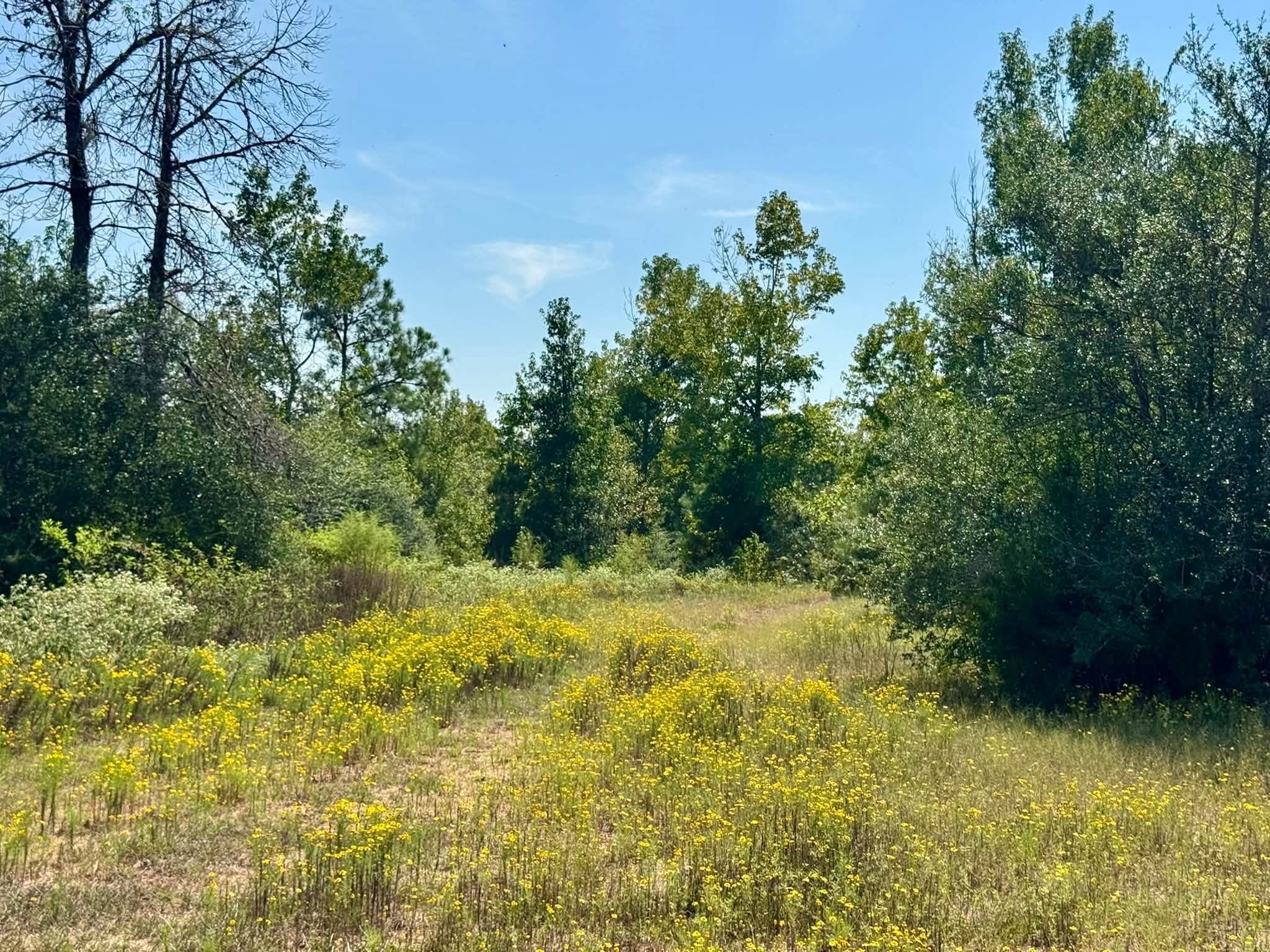 Tract 1 Private Rd 8385 Property Photo 17