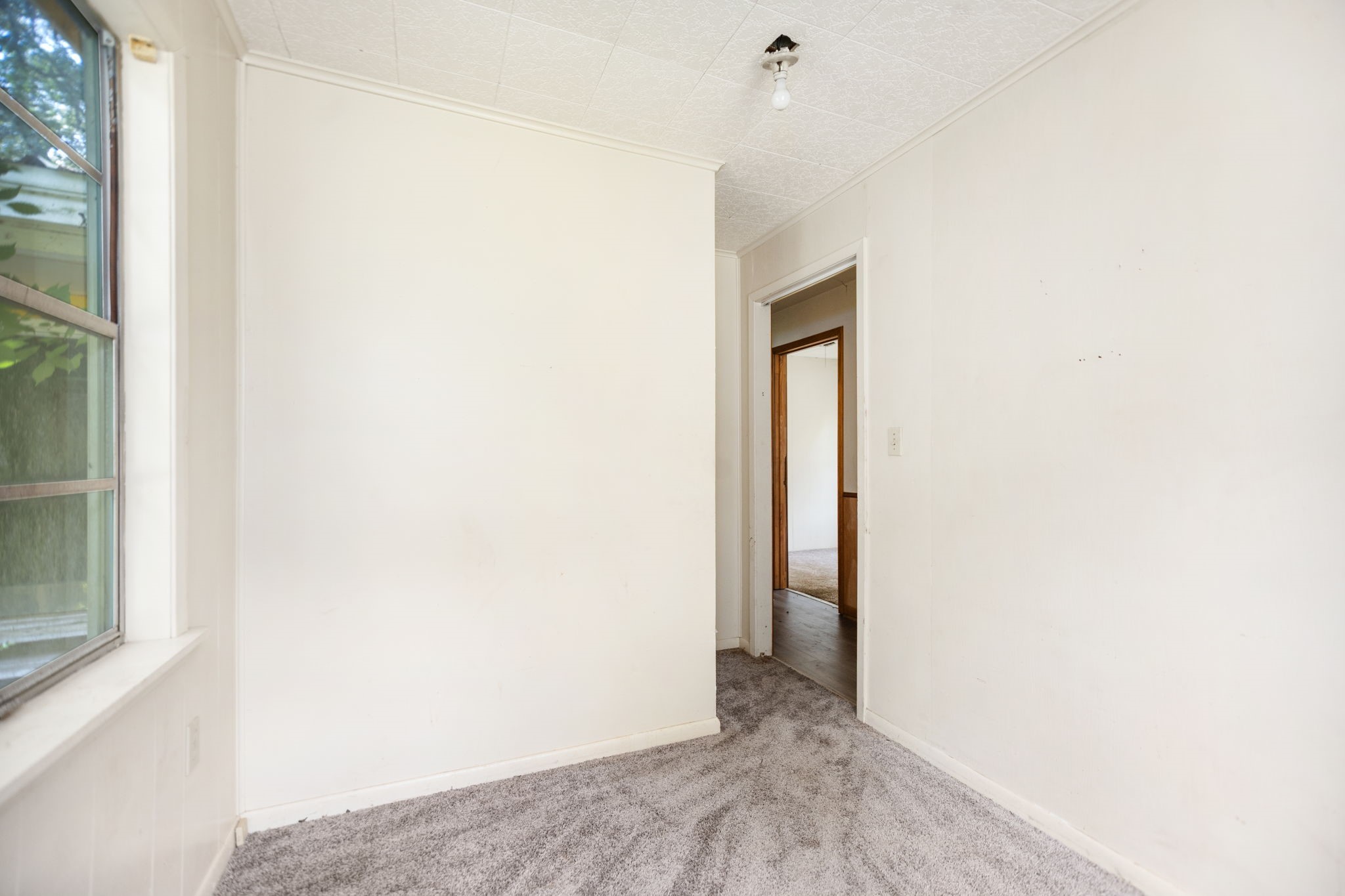 423 Pouland Street Property Photo 23