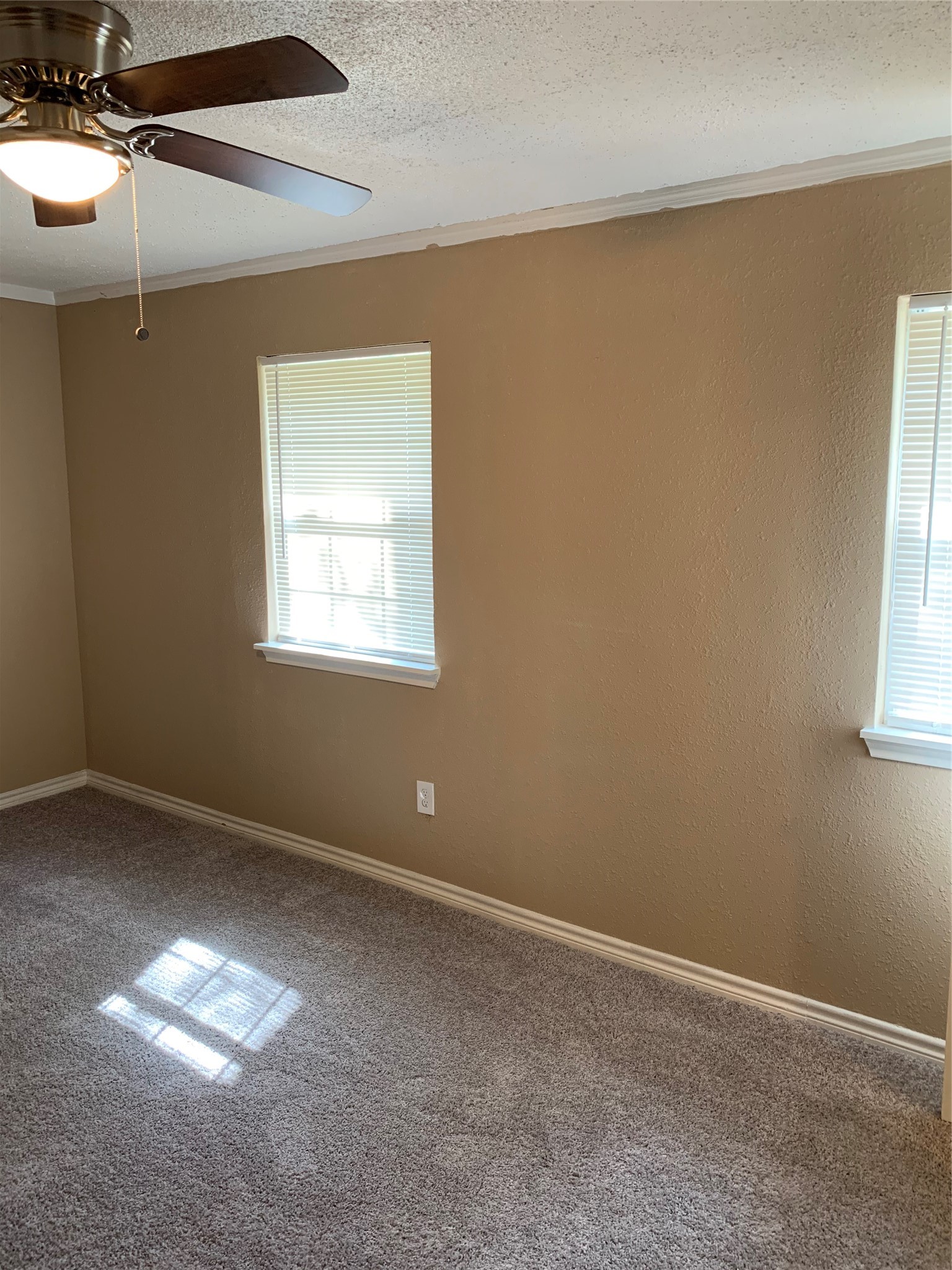 7210 Wileyvale Road B Property Photo 10