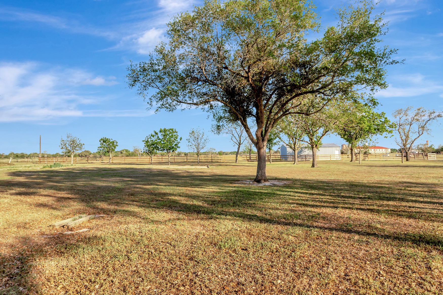 293 County Road 406 Property Photo 48