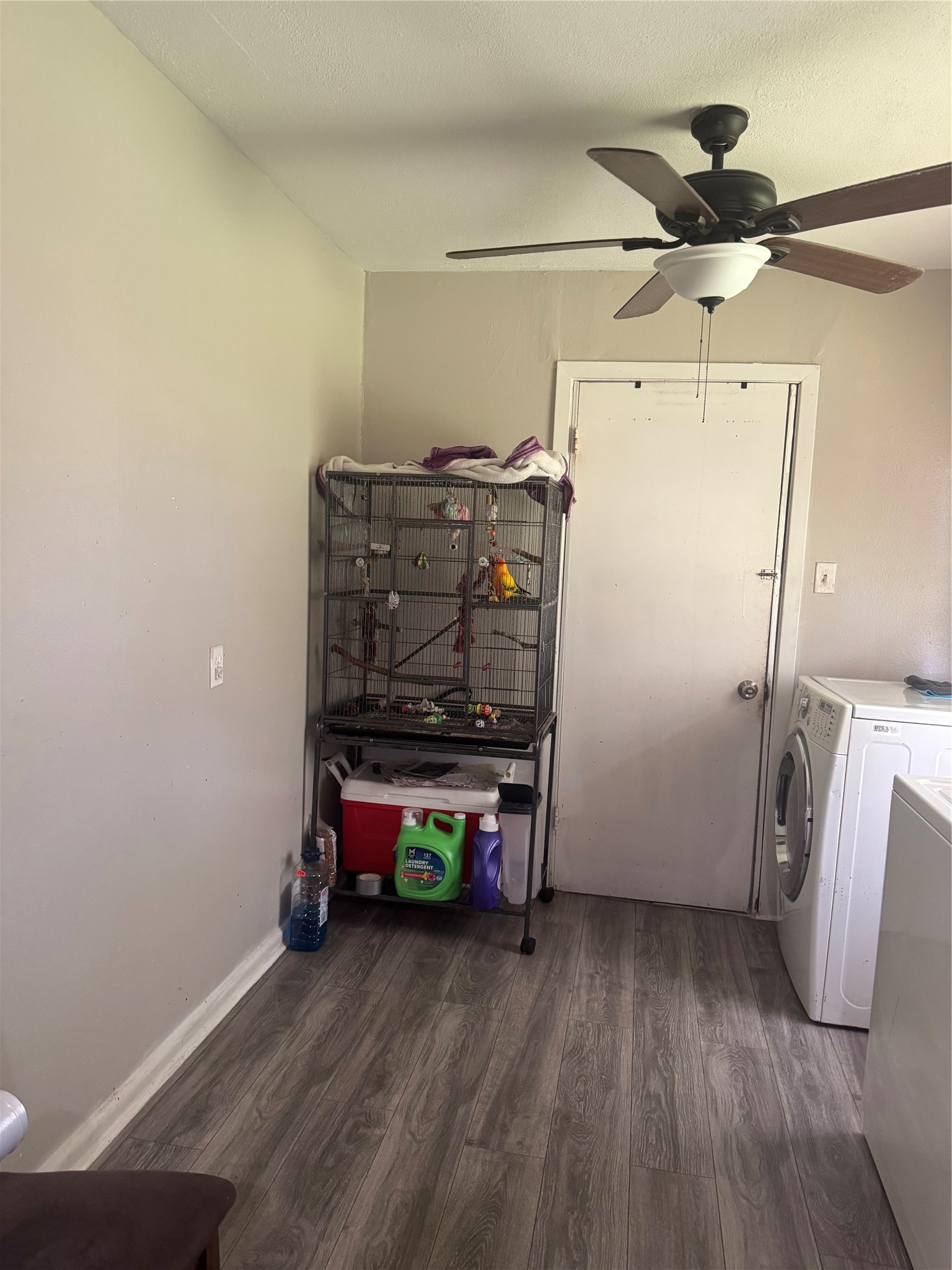 7947 Glenscott Street Property Photo 4
