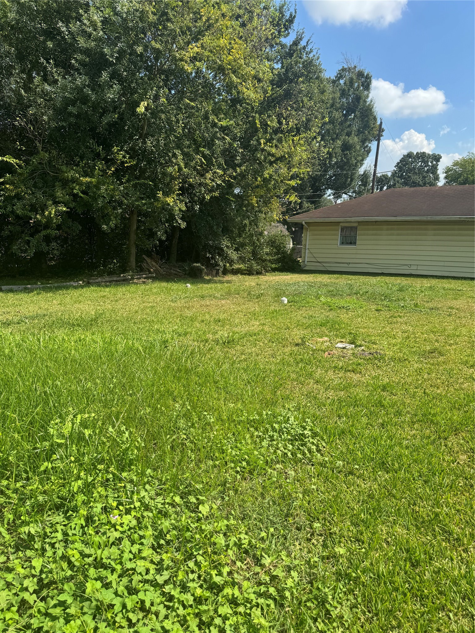 7947 Glenscott Street Property Photo 6