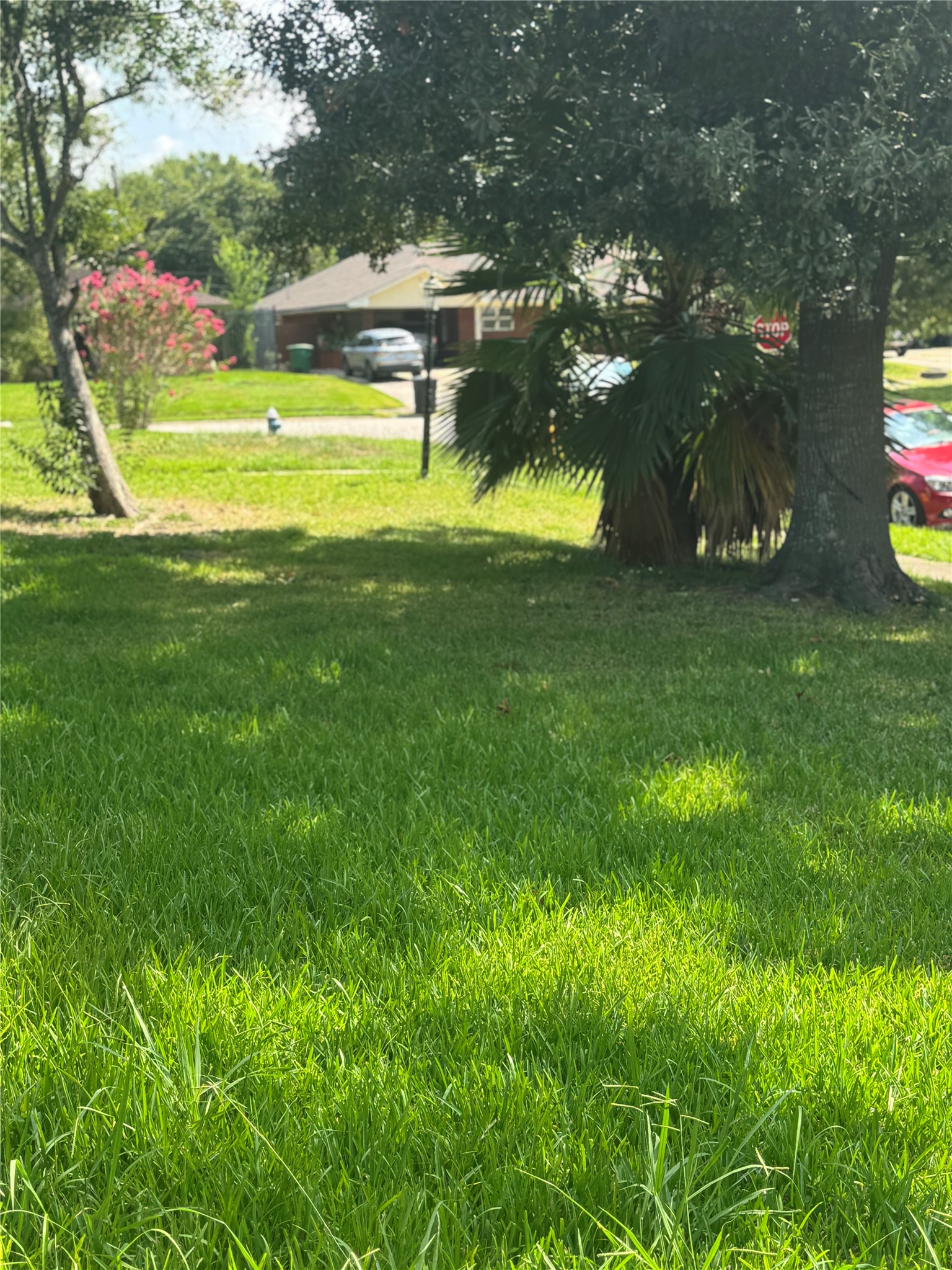 7947 Glenscott Street Property Photo 18