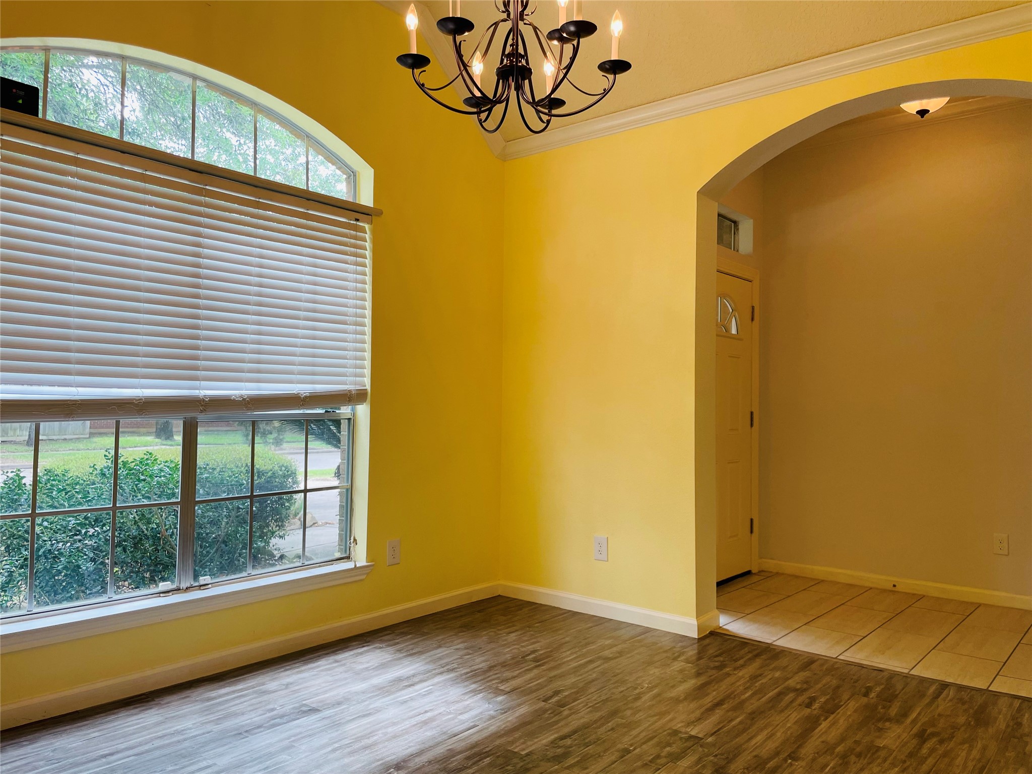 20910 Medallion Pointe Drive Property Photo 4
