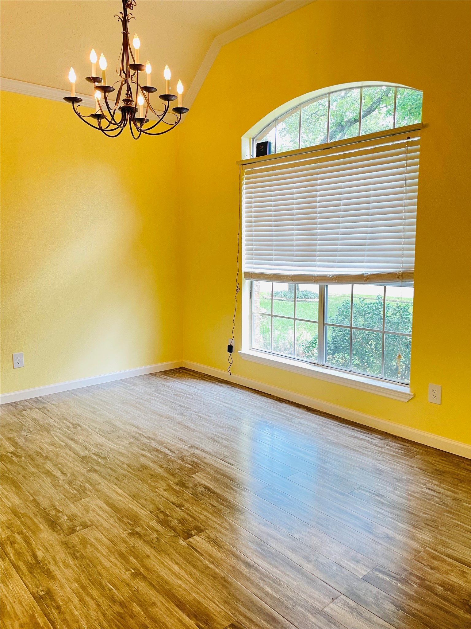 20910 Medallion Pointe Drive Property Photo 5
