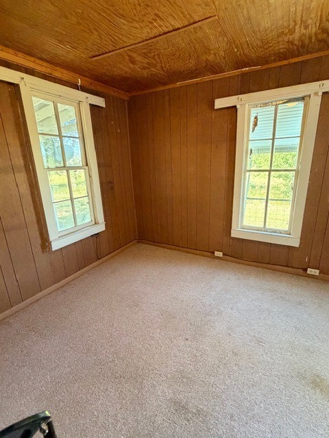 1141 County Road 2104 Property Photo 12
