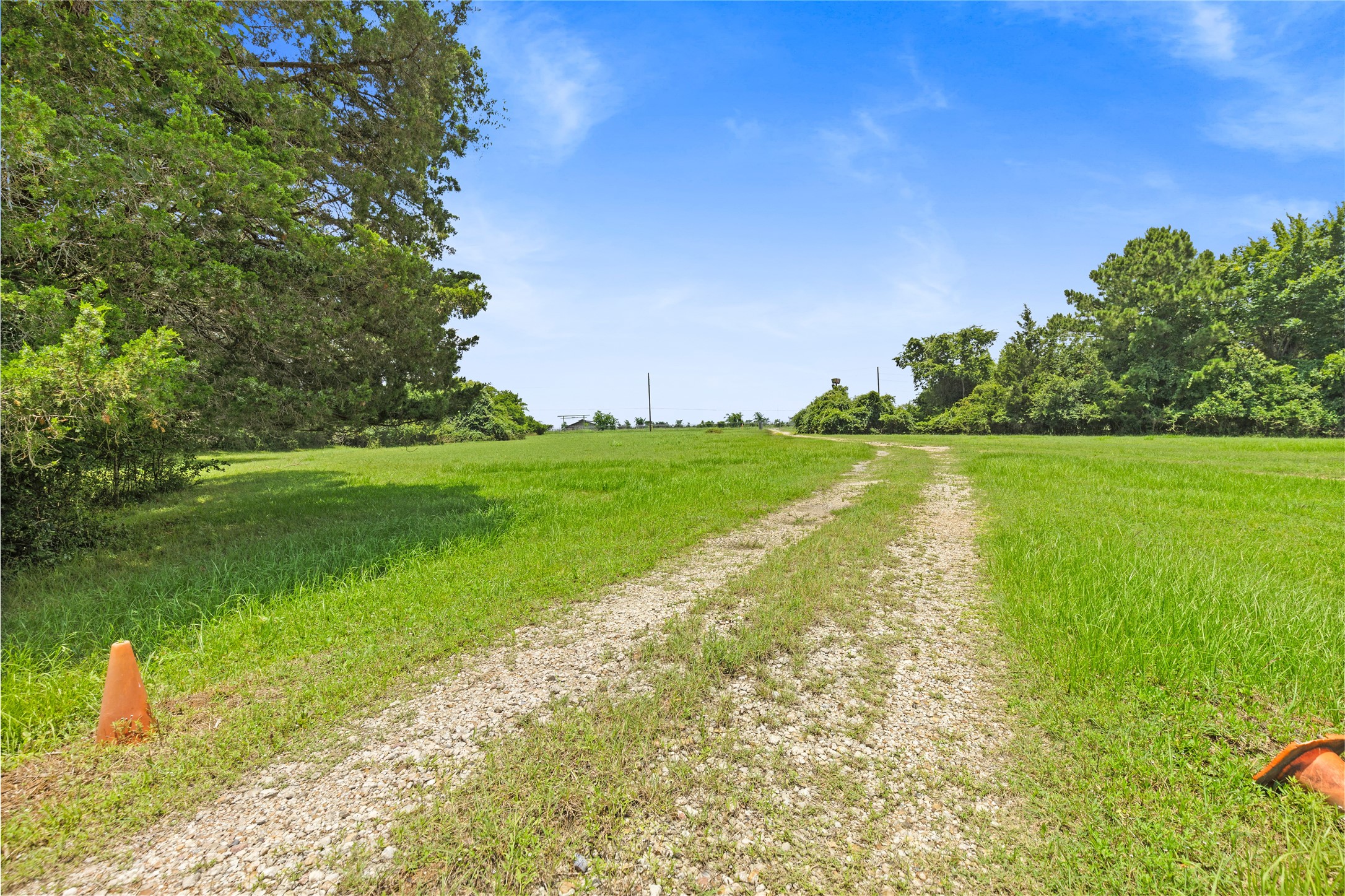 10973 Longstreet Road Property Photo 33