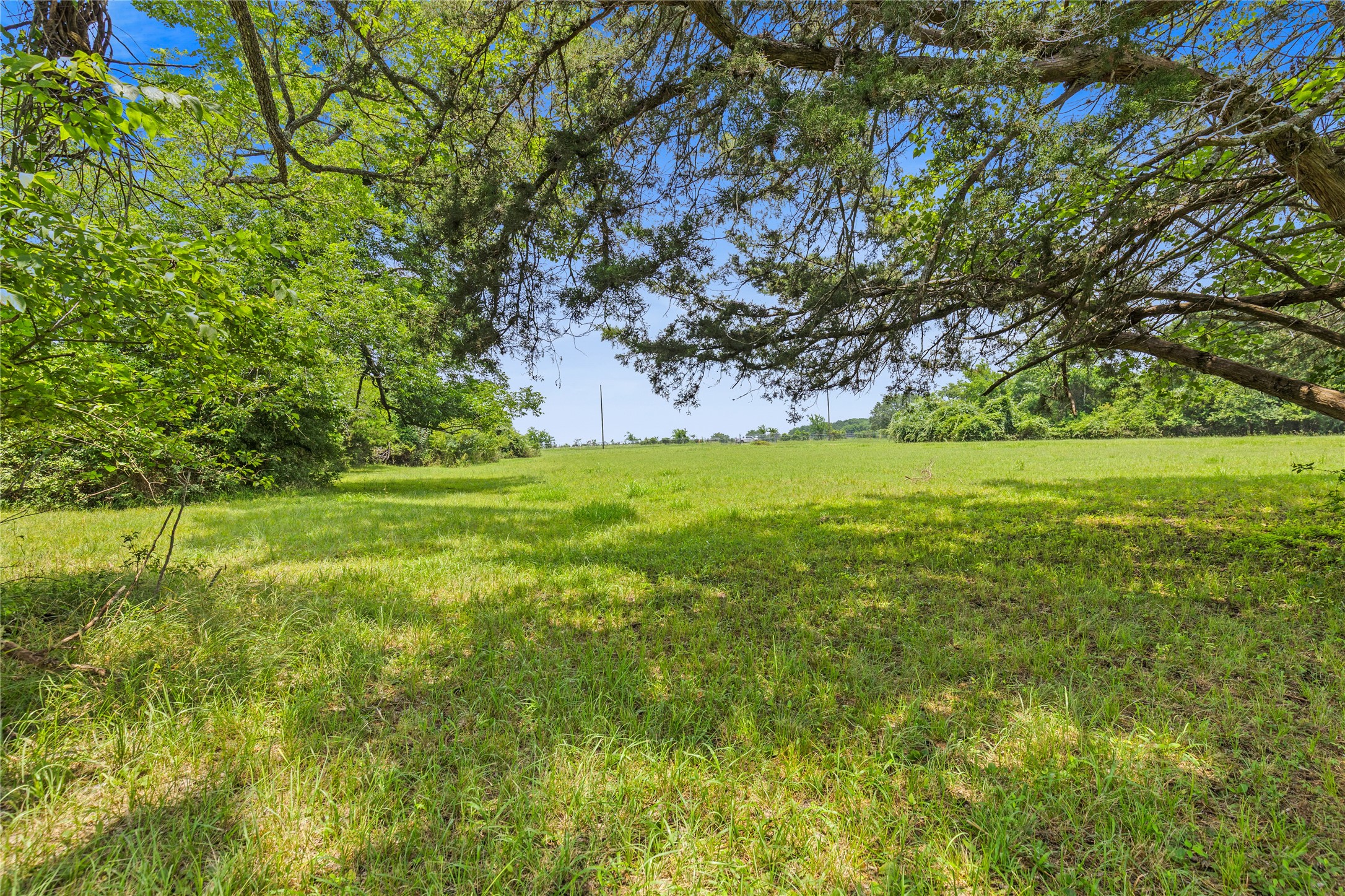 10973 Longstreet Road Property Photo 34