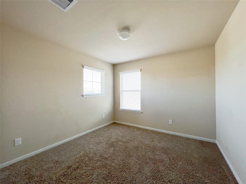 29043 Jacobs River Drive Property Photo 18