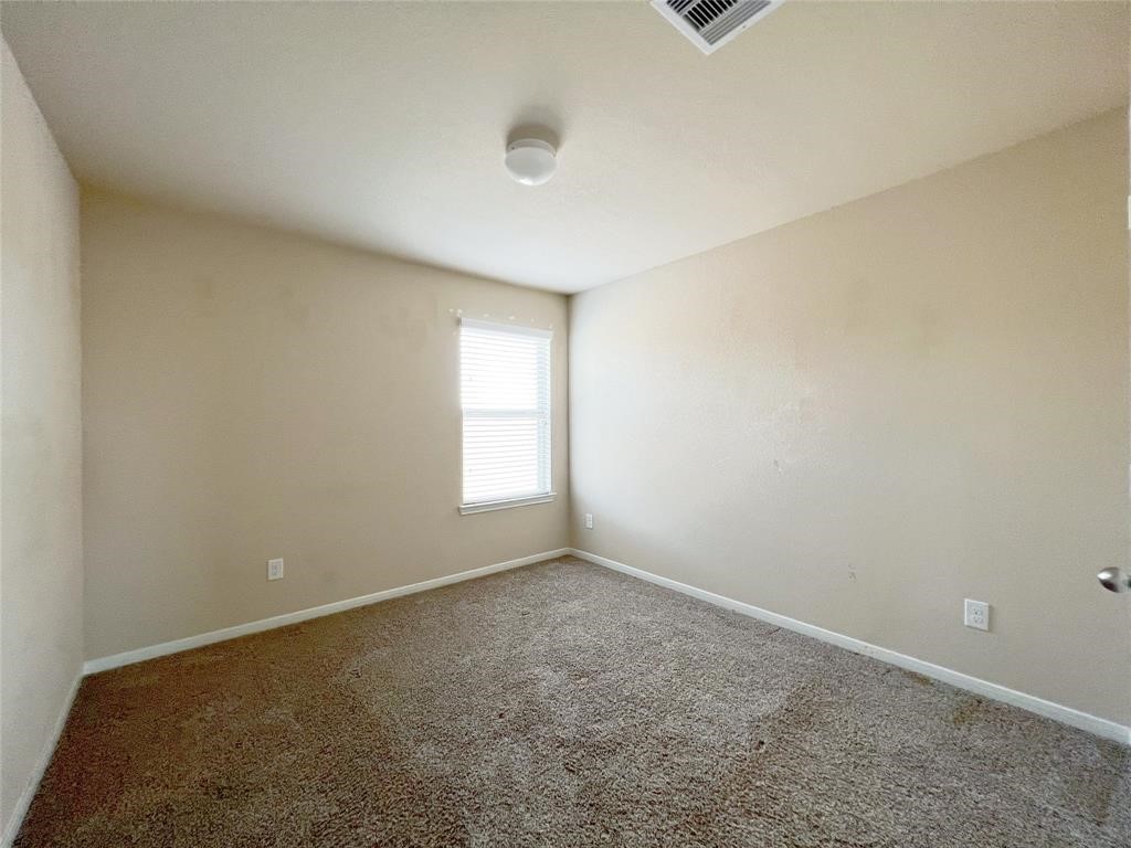 29043 Jacobs River Drive Property Photo 20