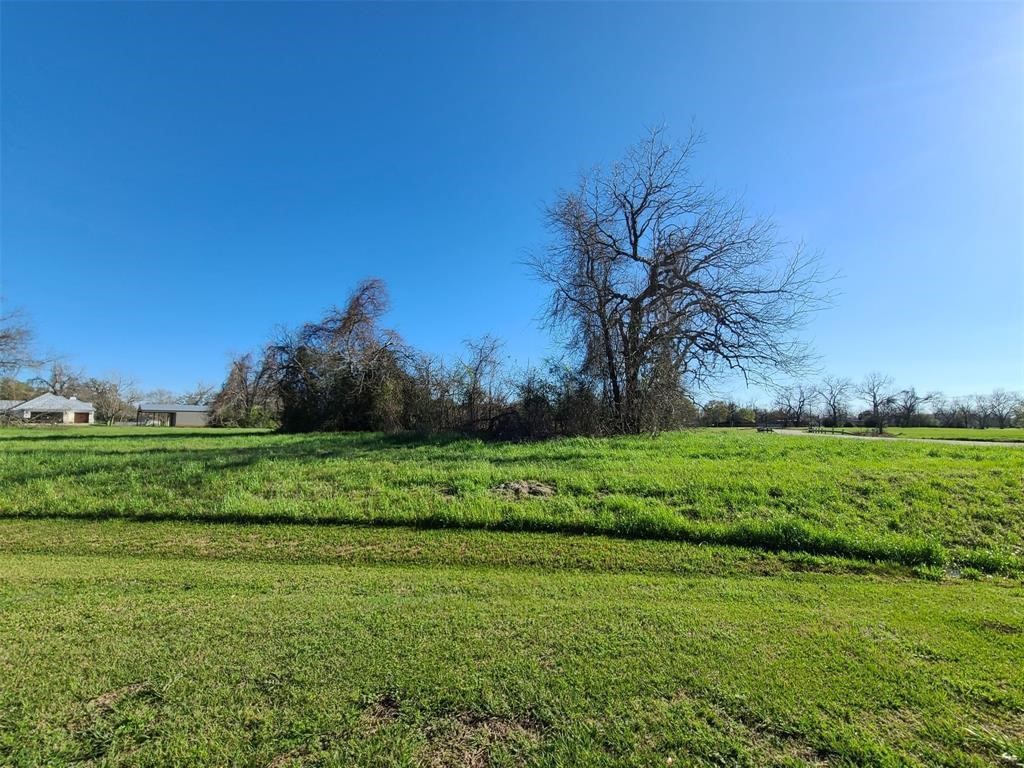 100 Cattle Drive Trail Property Photo 7