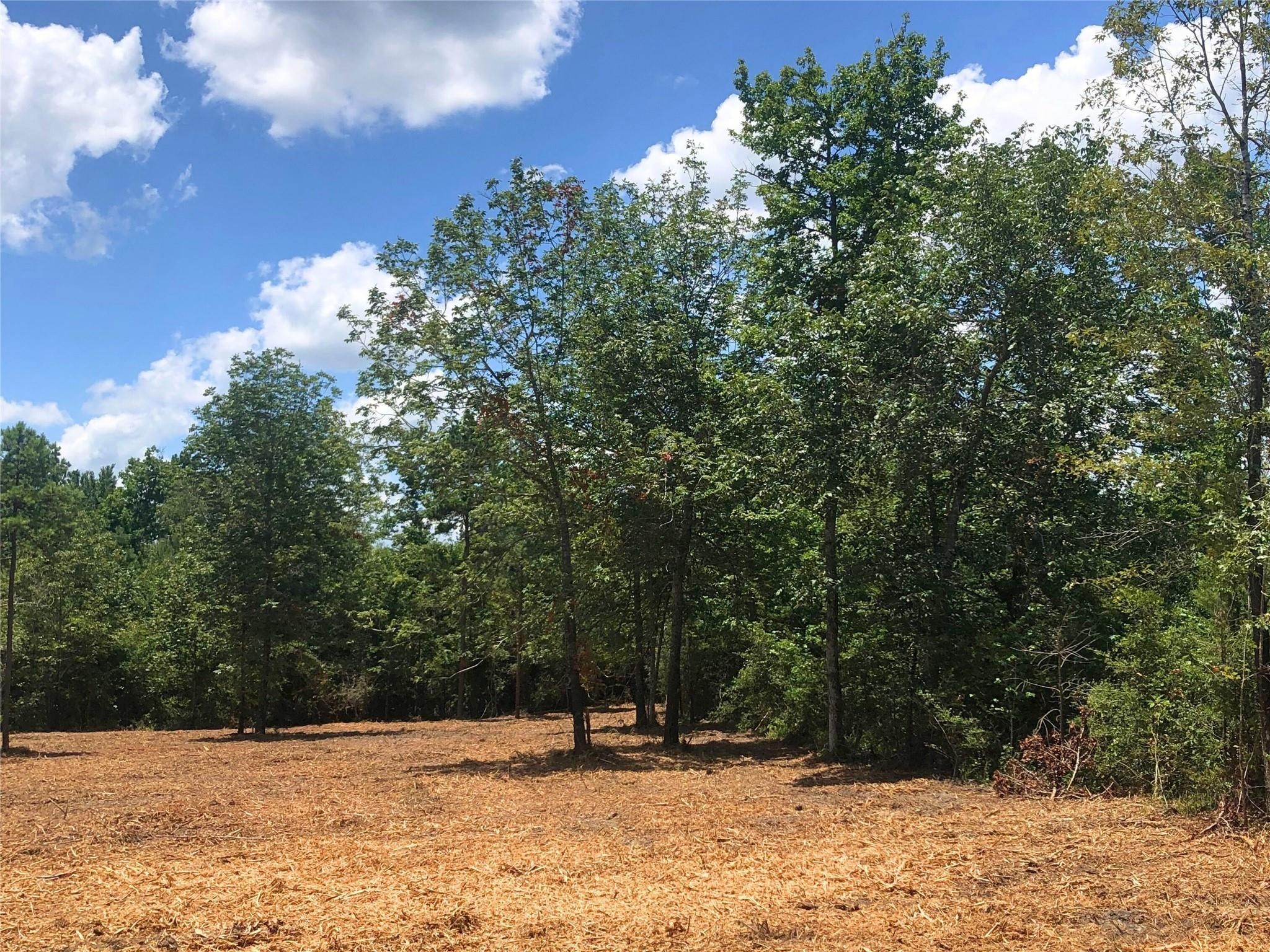 Lot 2 Cr 338 Property Photo 4