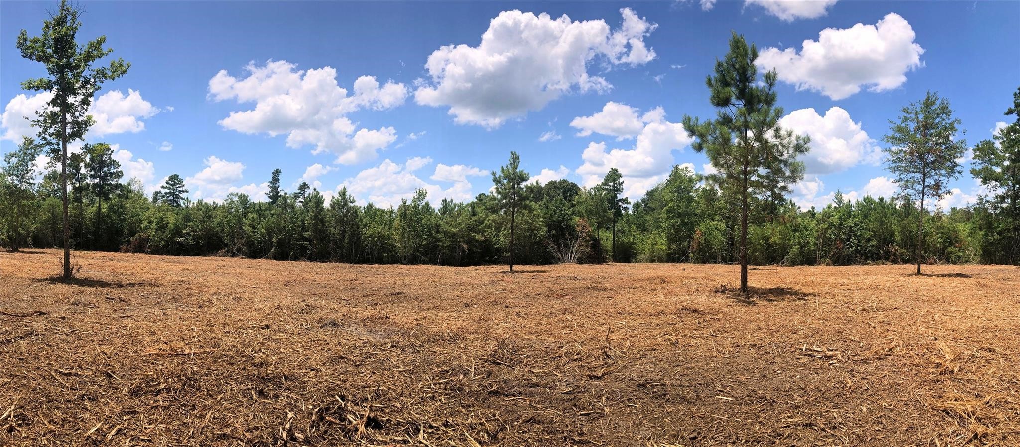 Lot 2 Cr 338 Property Photo 5