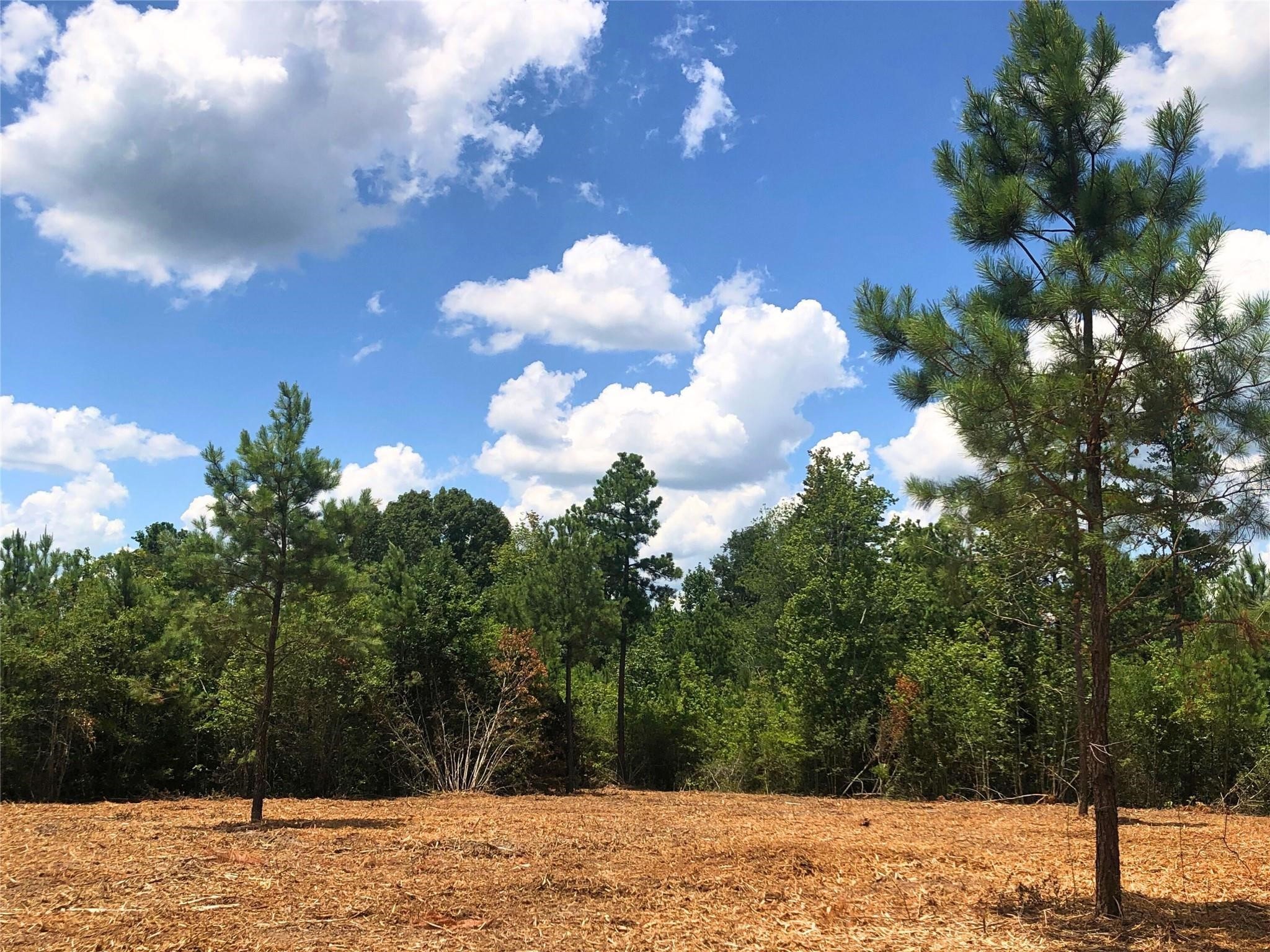 Lot 2 Cr 338 Property Photo 6