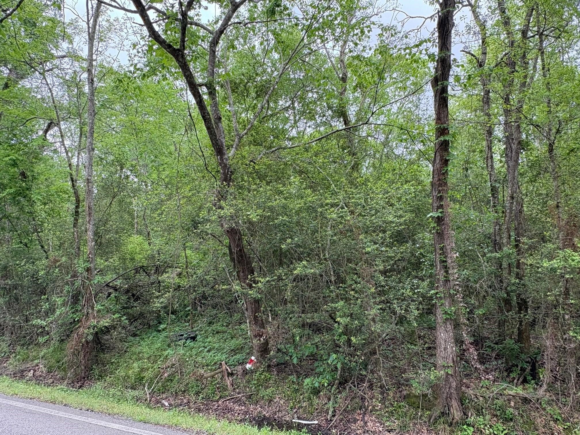 0 Huffman-eastgate Road Property Photo 2