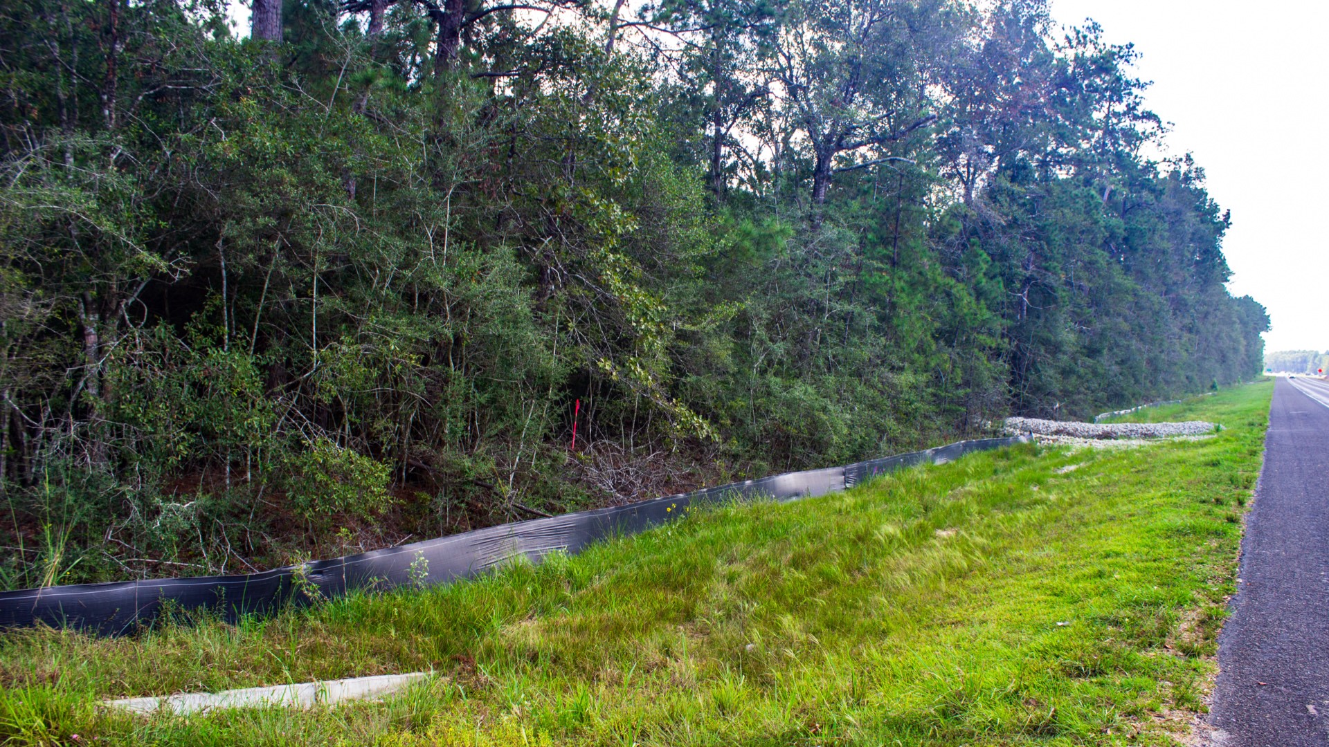 14650 Hwy 69n Road Property Photo 19