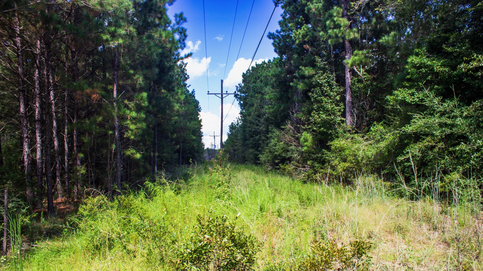 14650 Hwy 69n Road Property Photo 21