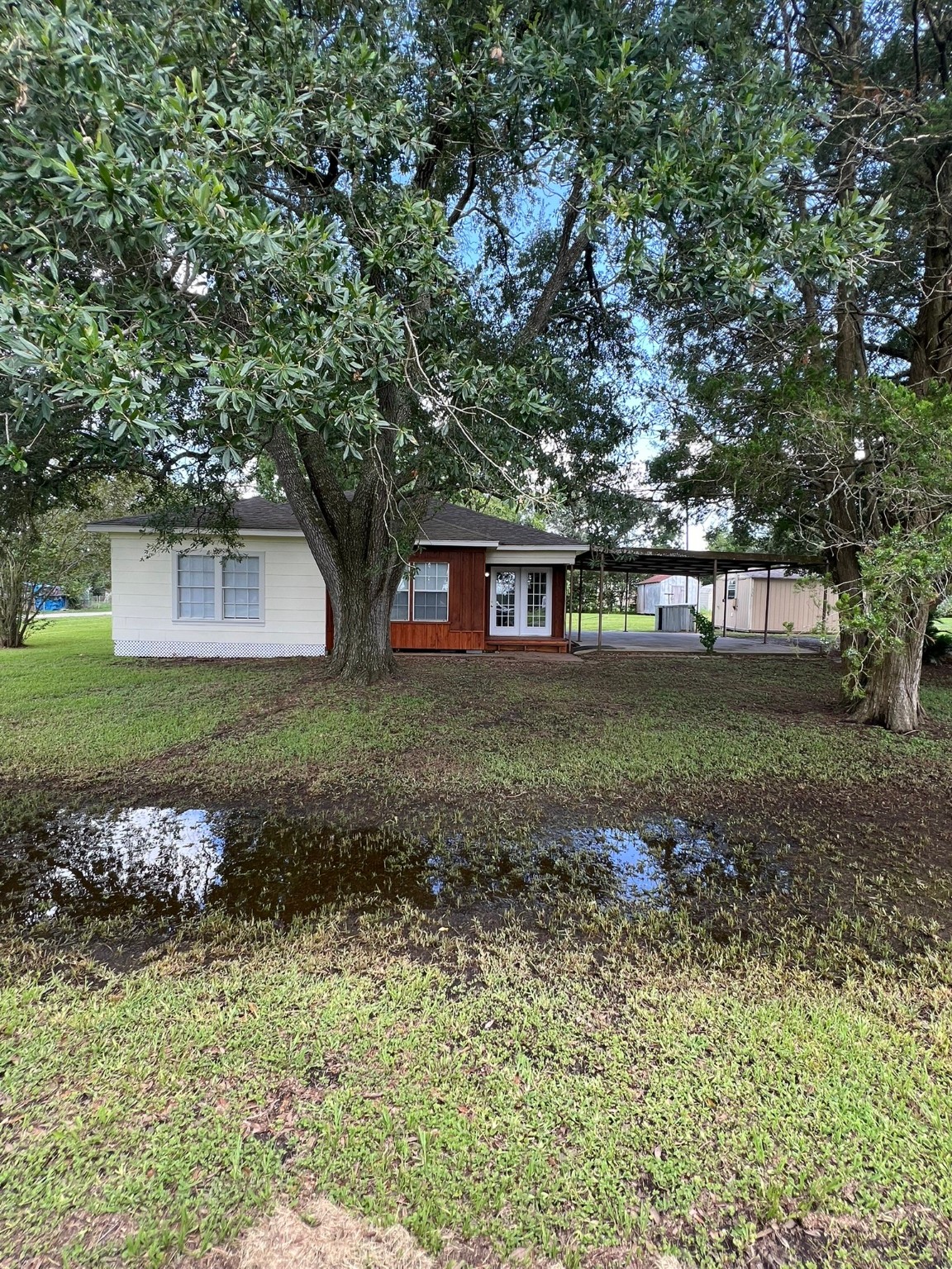 338 Holloway Property Photo 1