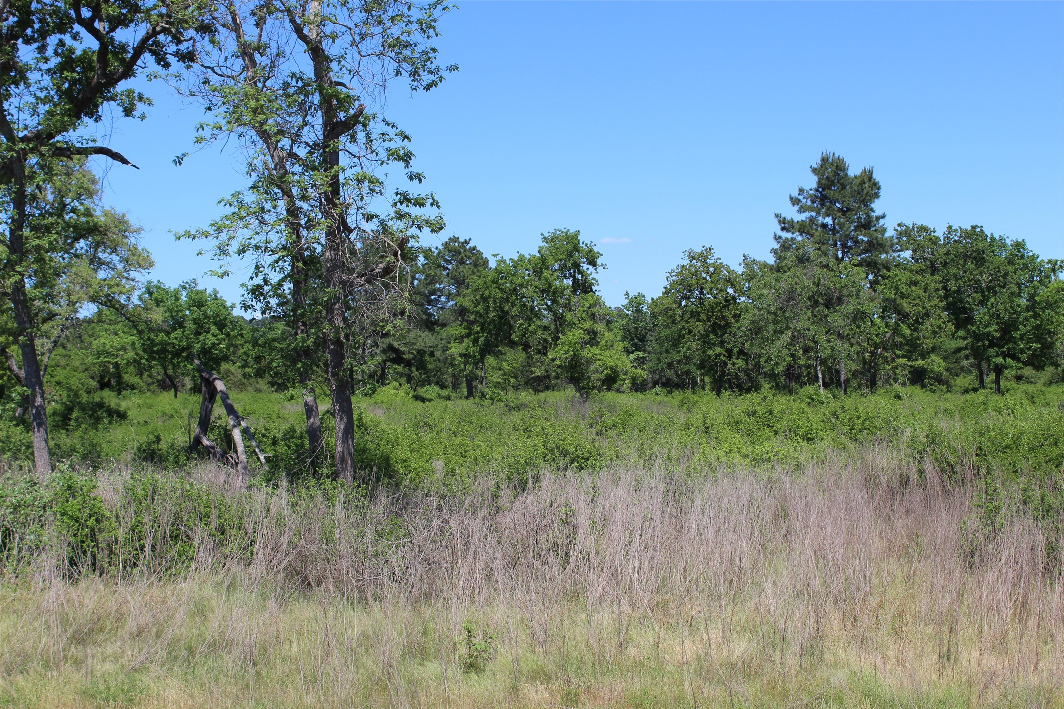Tr 53 Pr 1315 Road Property Photo 4