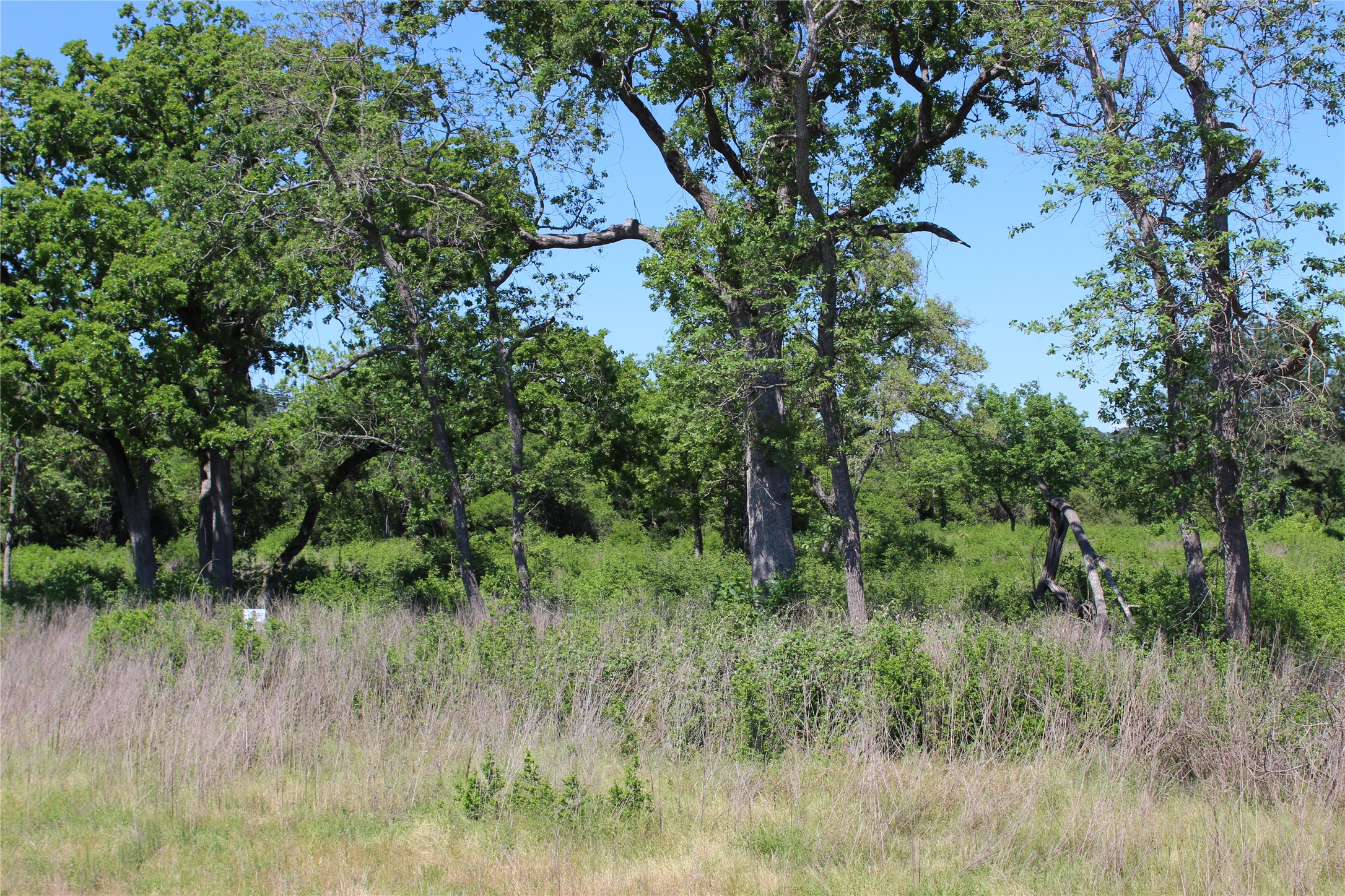Tr 53 Pr 1315 Road Property Photo 5