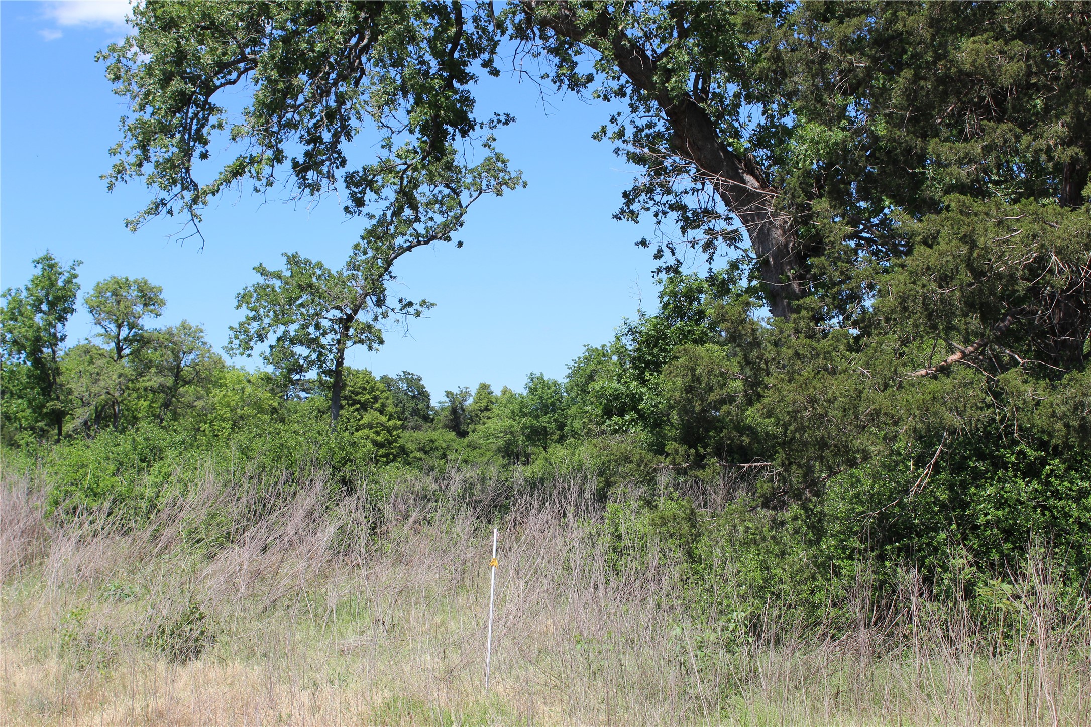 Tr 53 Pr 1315 Road Property Photo 6