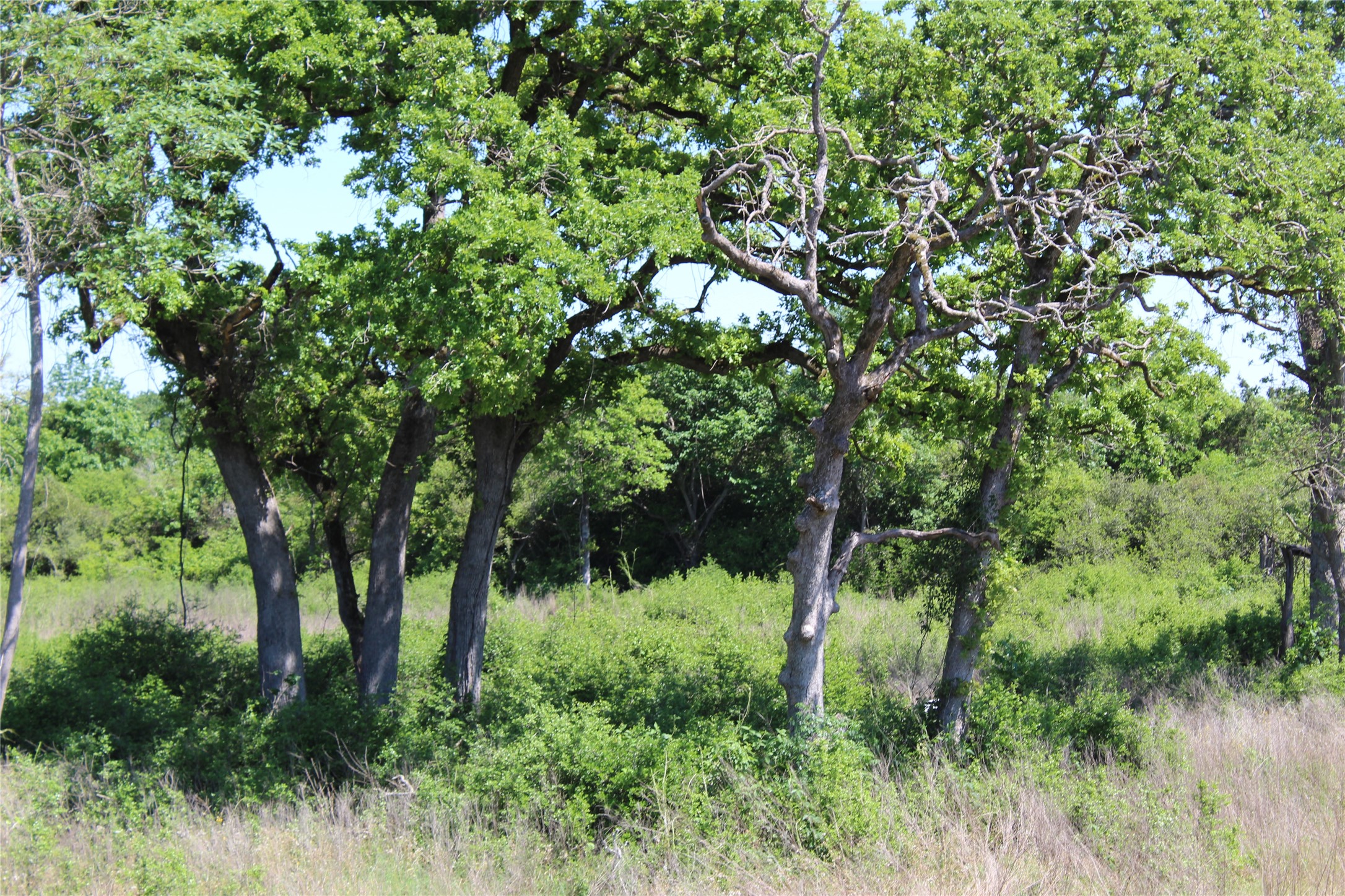Tr 53 Pr 1315 Road Property Photo 7