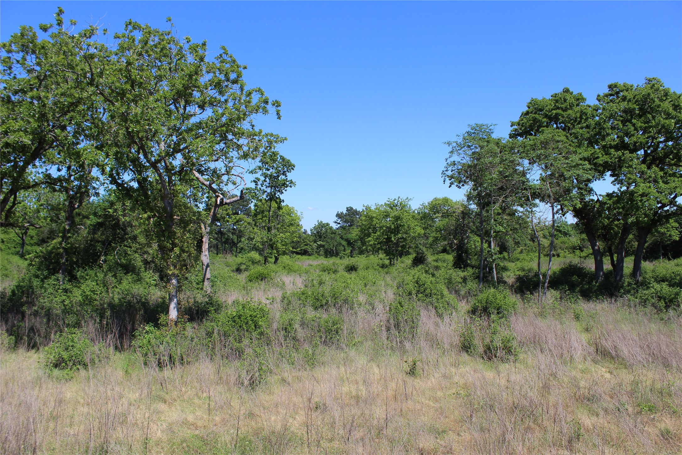 Tr 53 Pr 1315 Road Property Photo 8