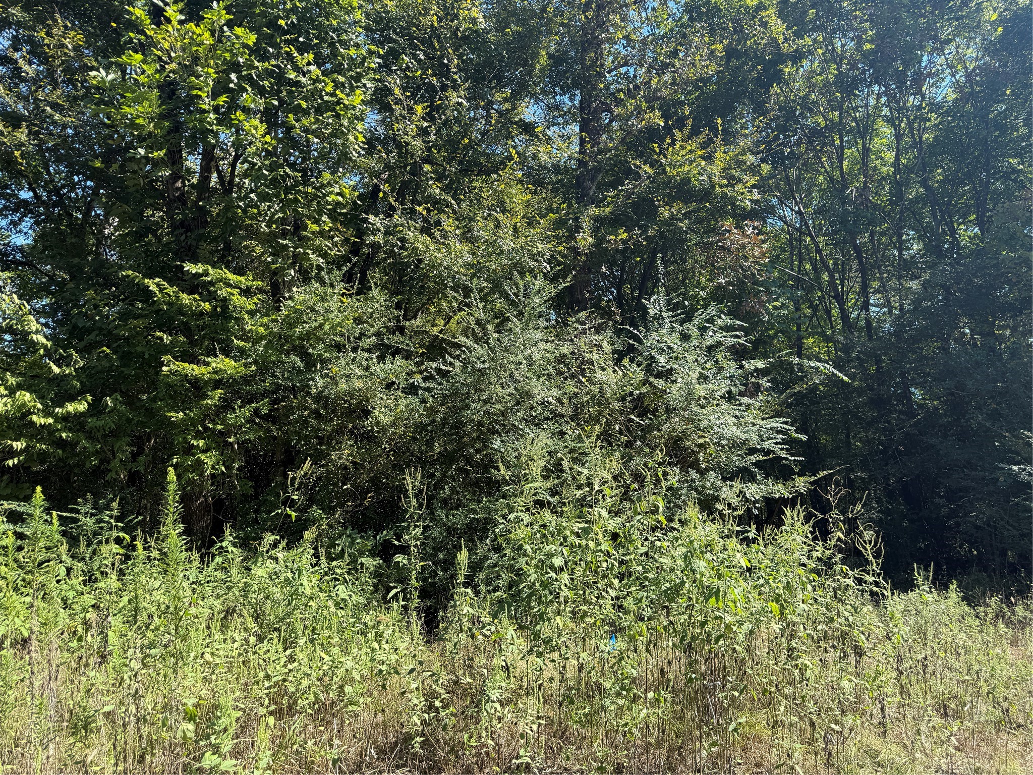 00 Fishermans Trail Property Photo 1