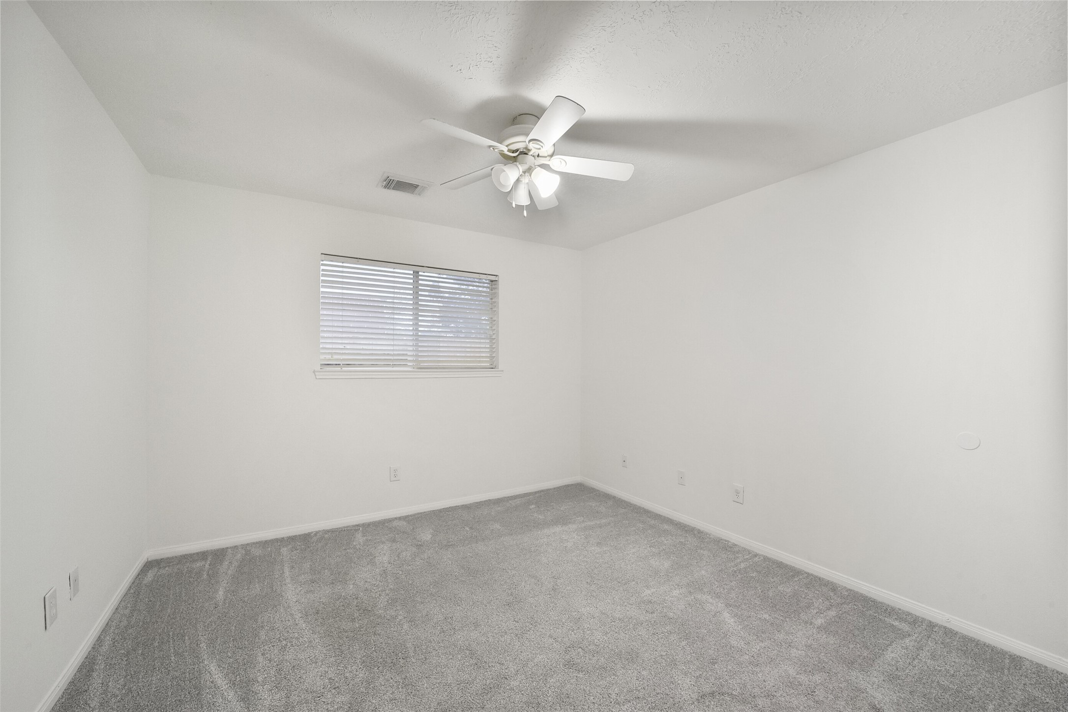 19215 Sarah Ann Court Property Photo 22
